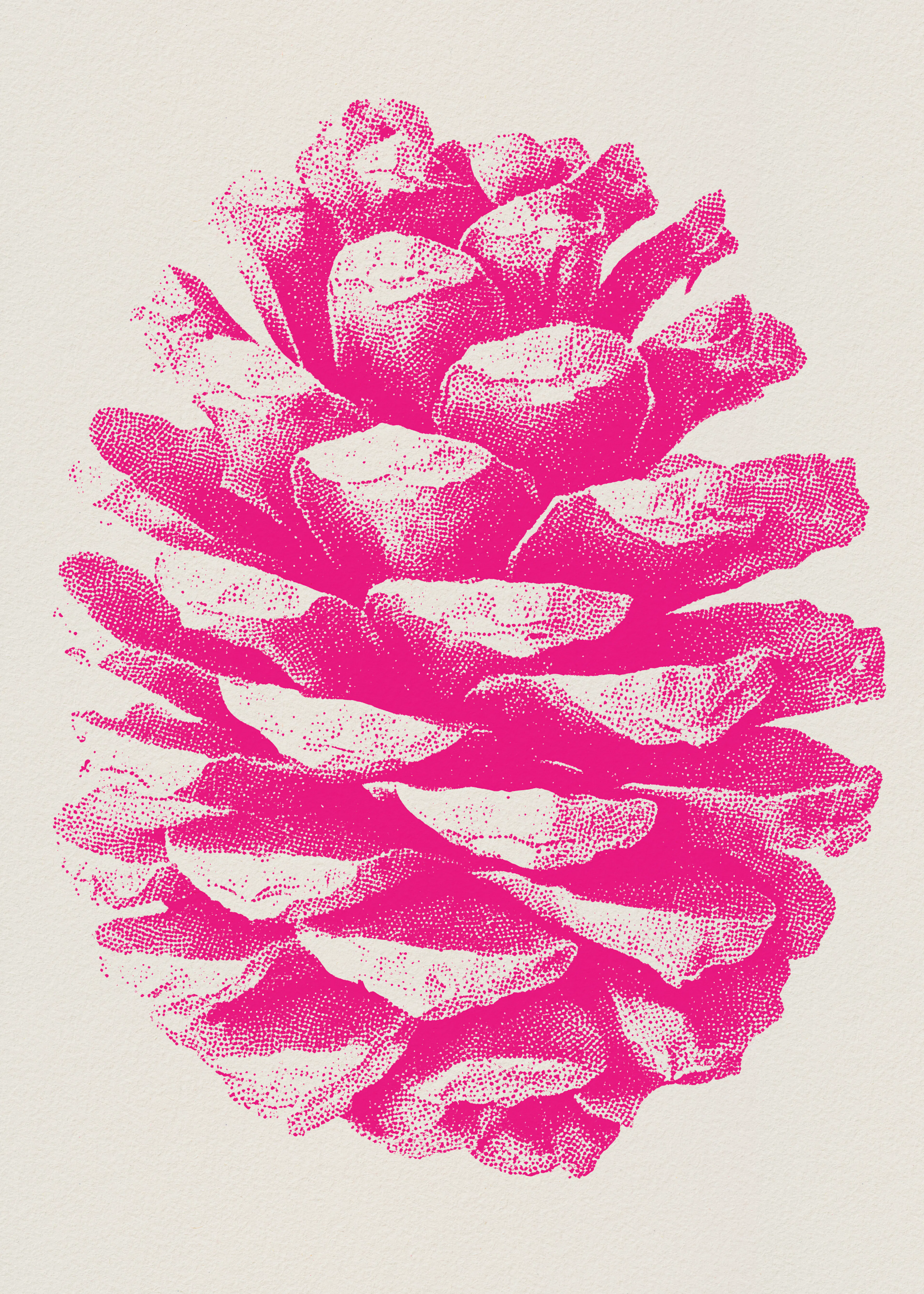 Pink Pinecone Poster 0