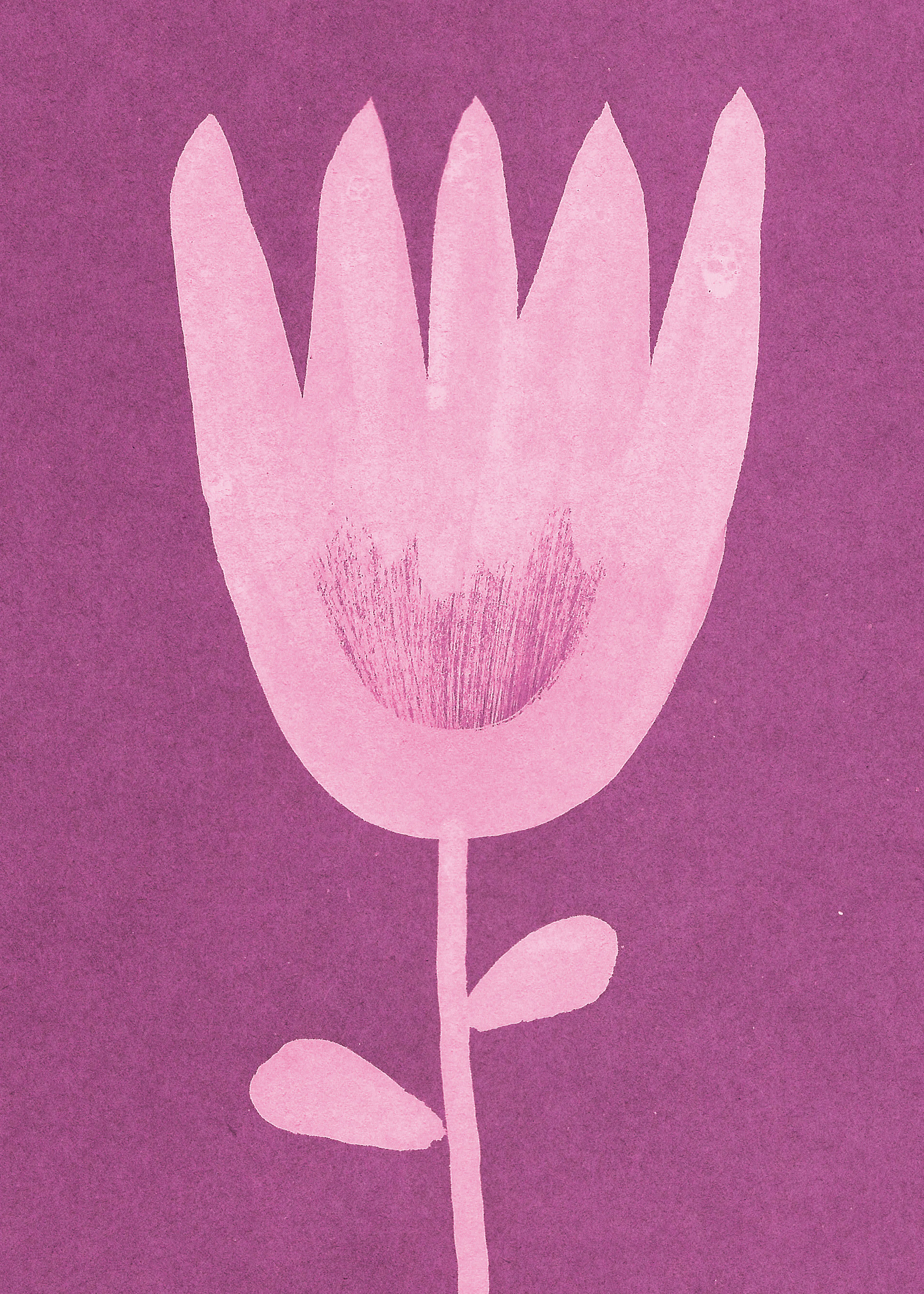 Purple Pink Bloom Poster 0