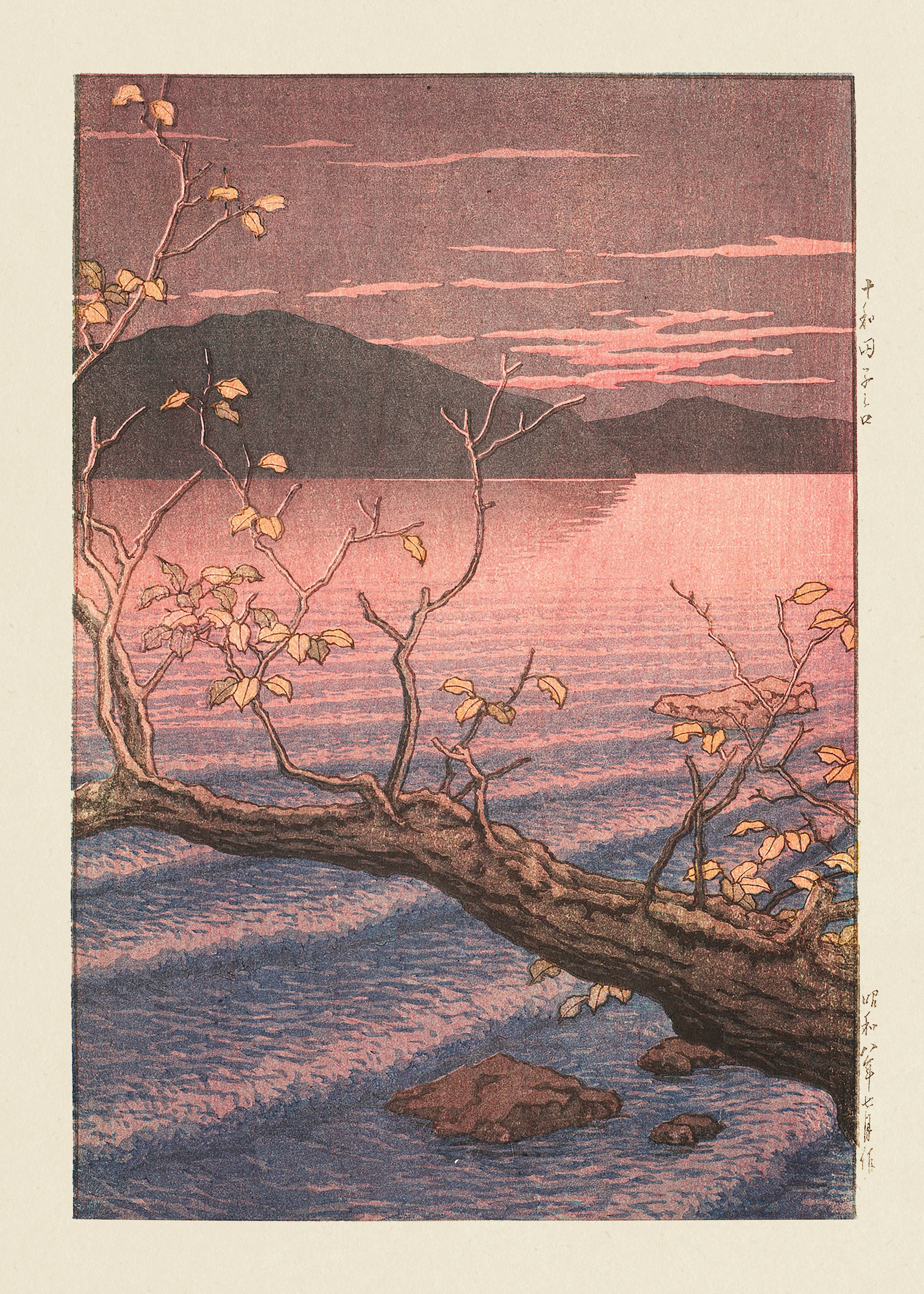 Pinkki Tyyni Auringonlasku Juliste 0