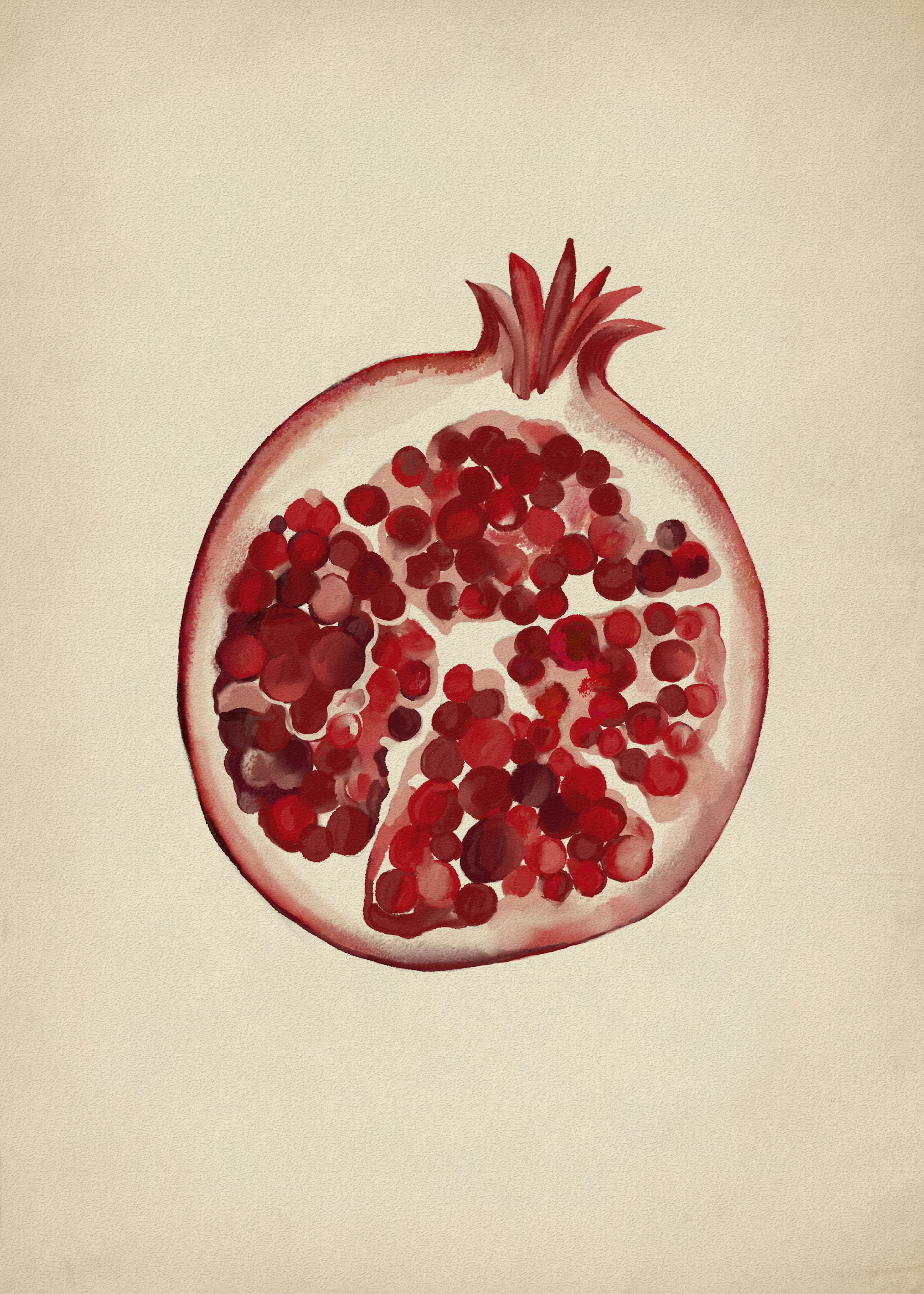 Pomegranate Art Poster 0
