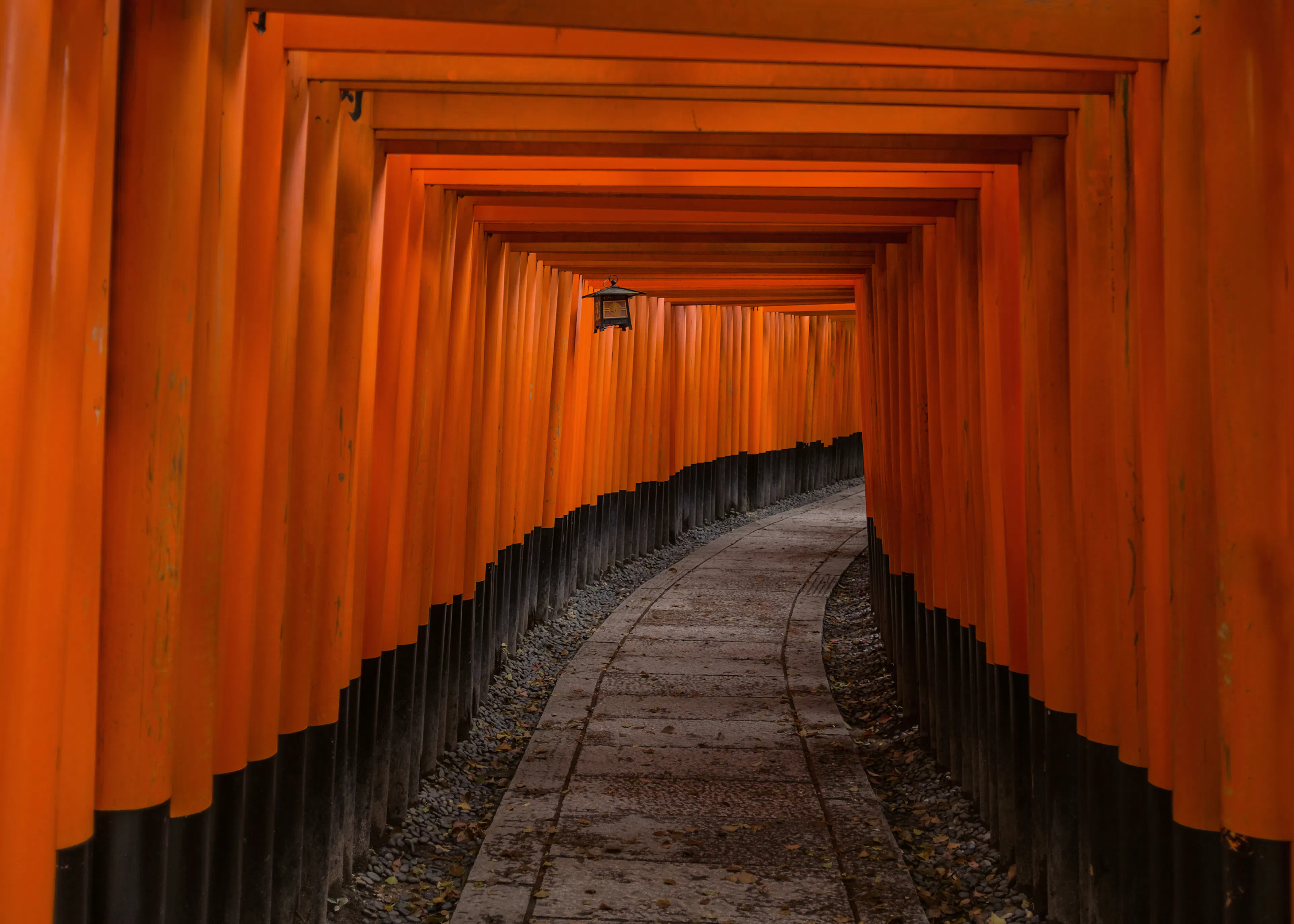 Torii Pathway Poster 0