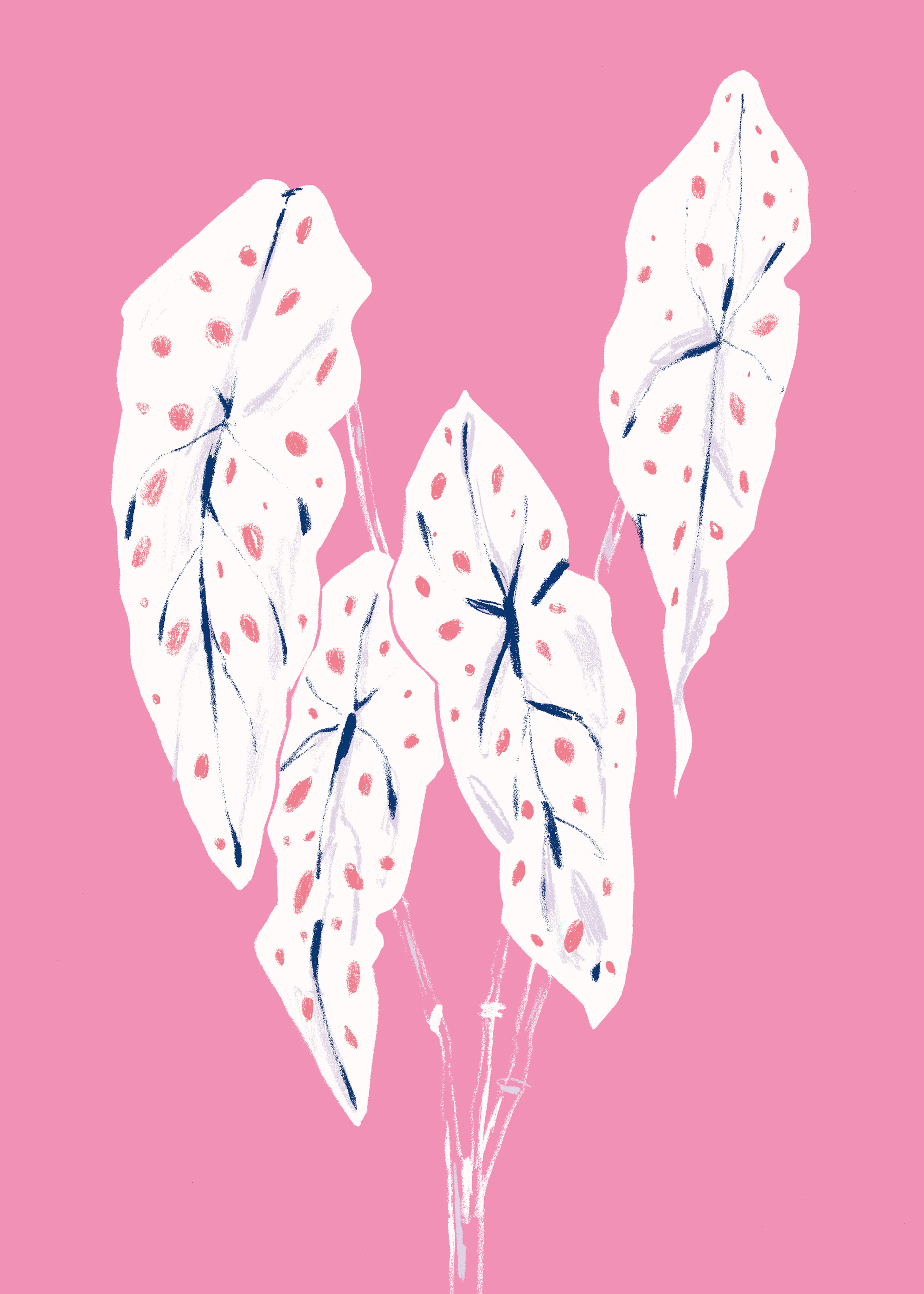 Delicate Leaves Poster 0