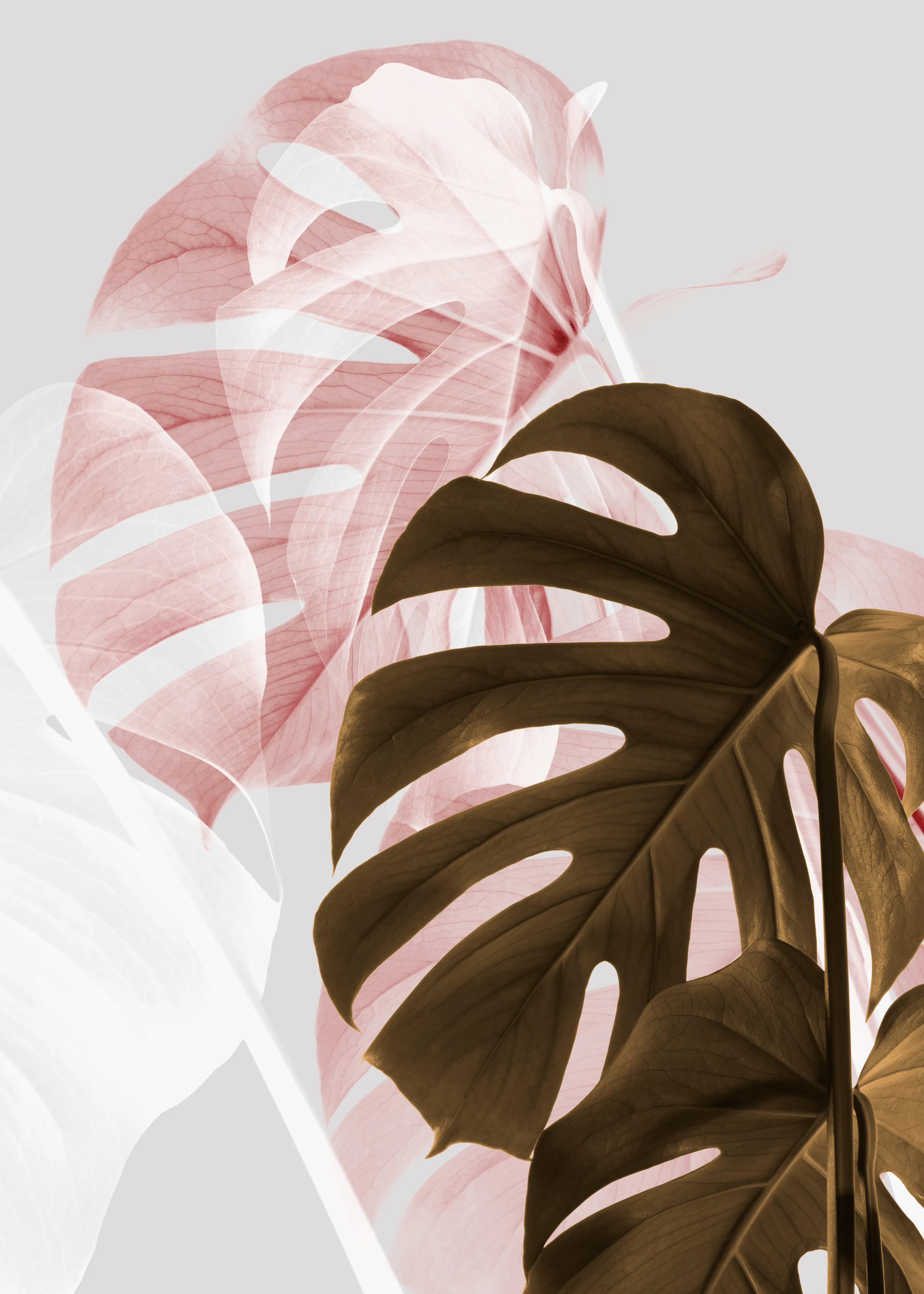 Tropical Whispers Poster 0