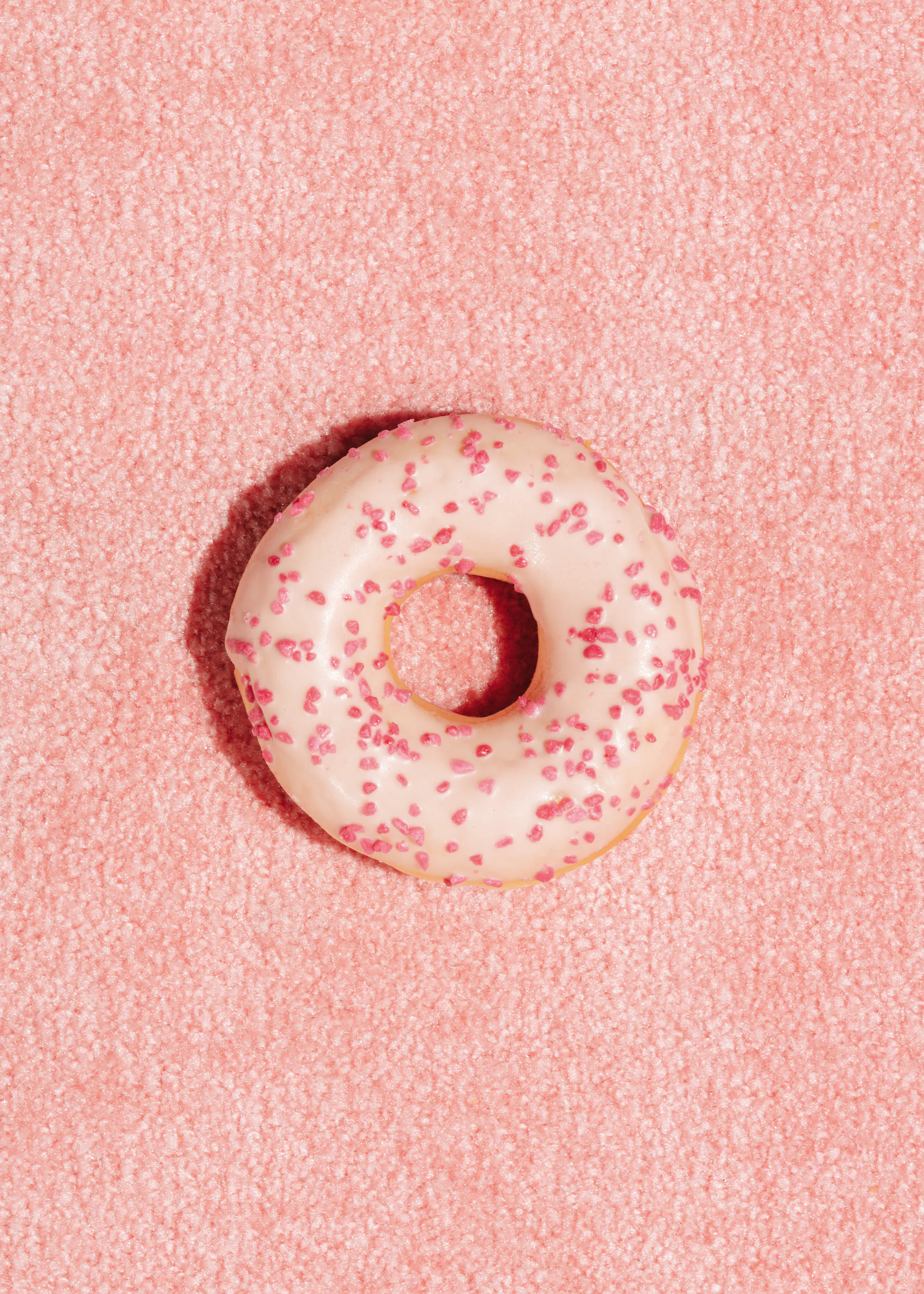 Pink Sprinkled Donut Poster 0