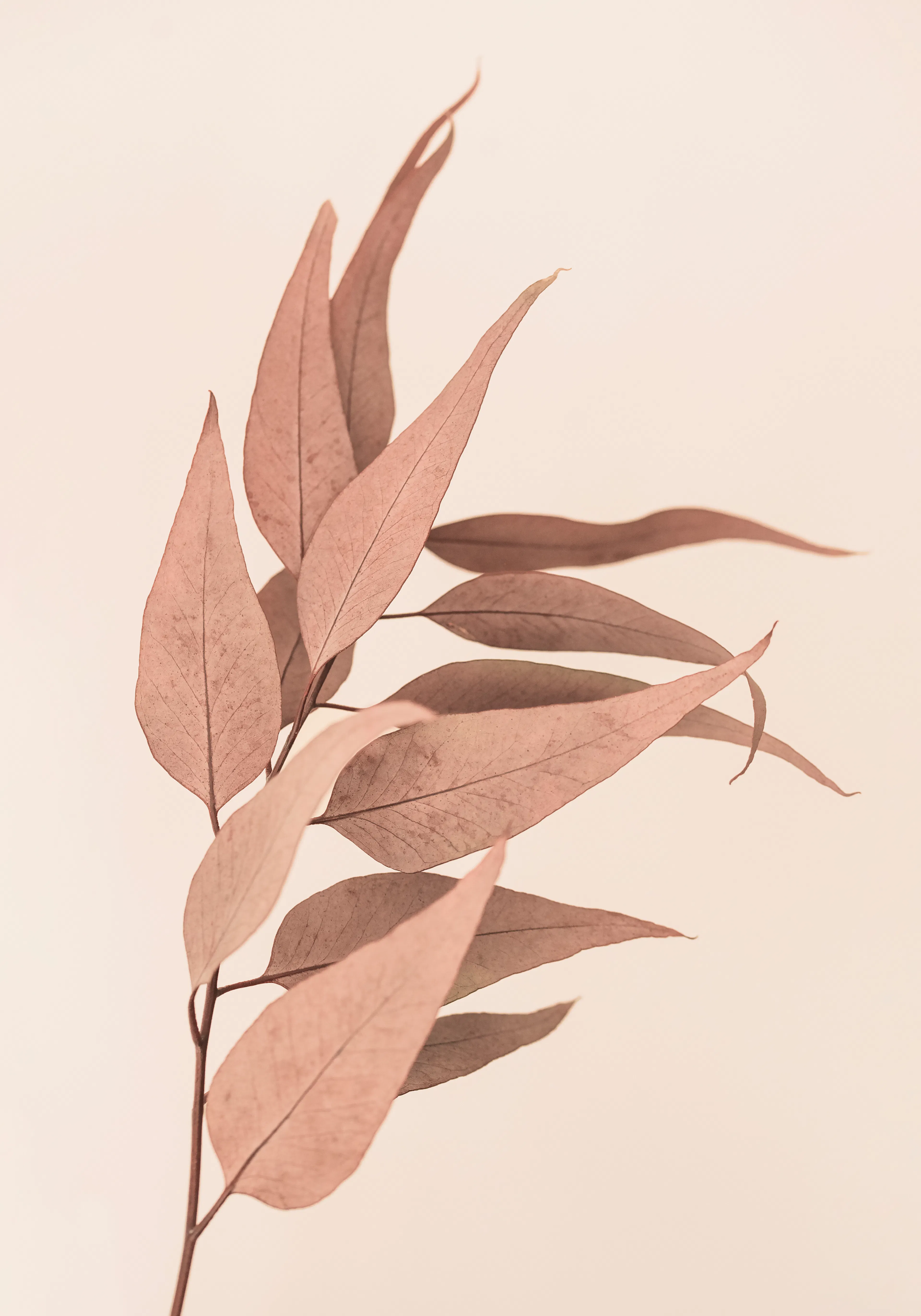 Product image: 1