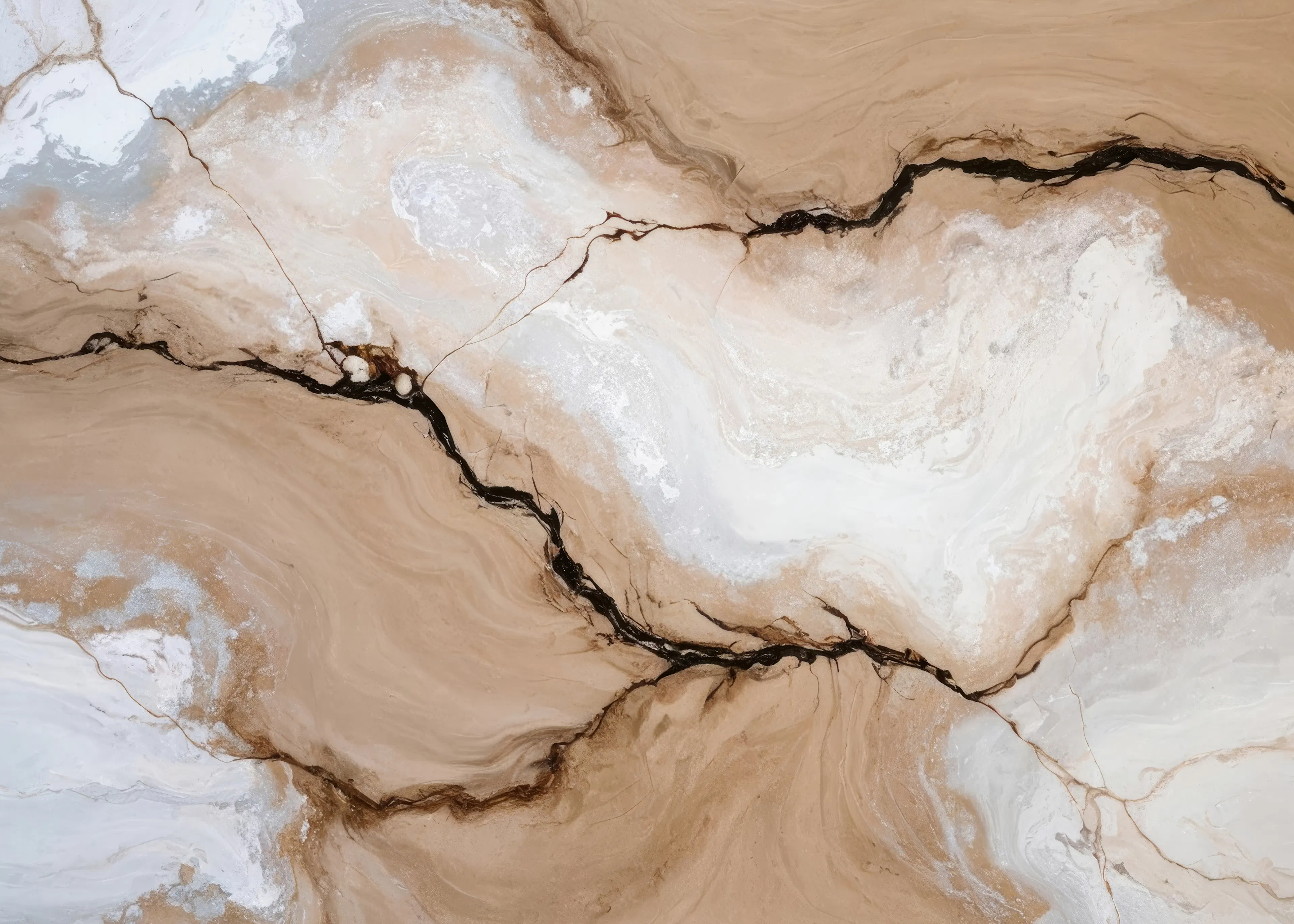 Brown Earth Veins Poster 0
