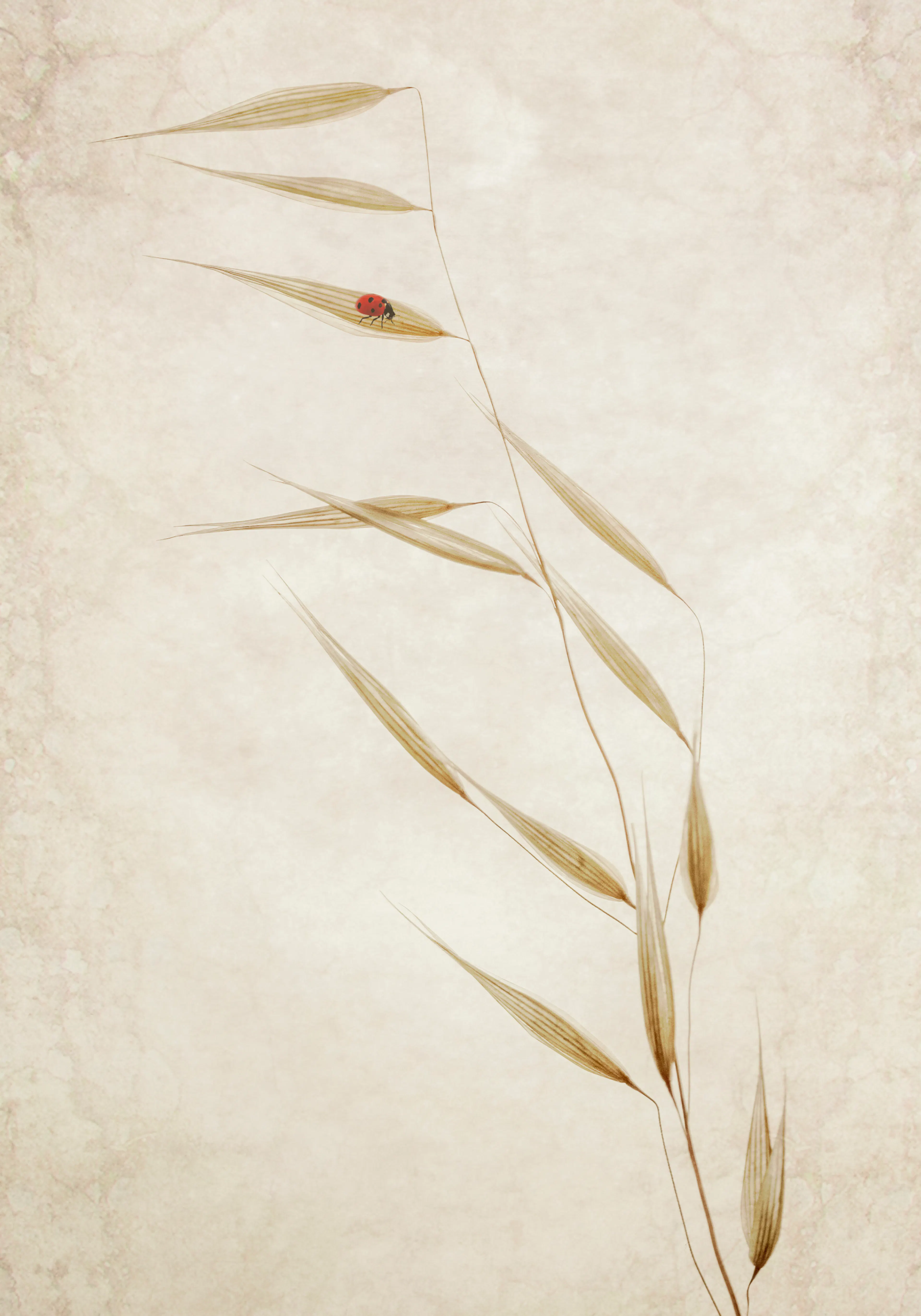 Product image: 1