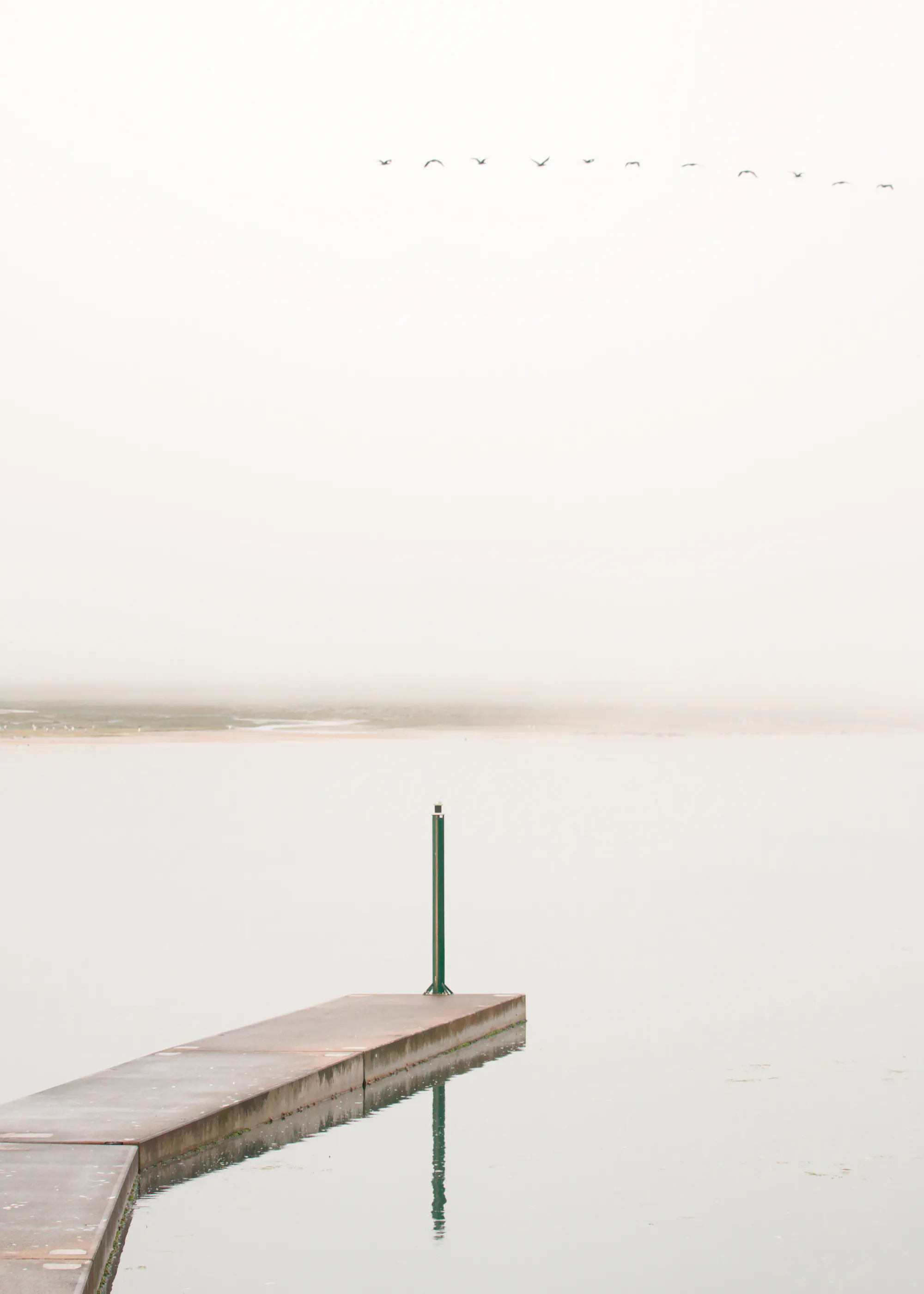 Muelle Sereno Blanco Póster 0