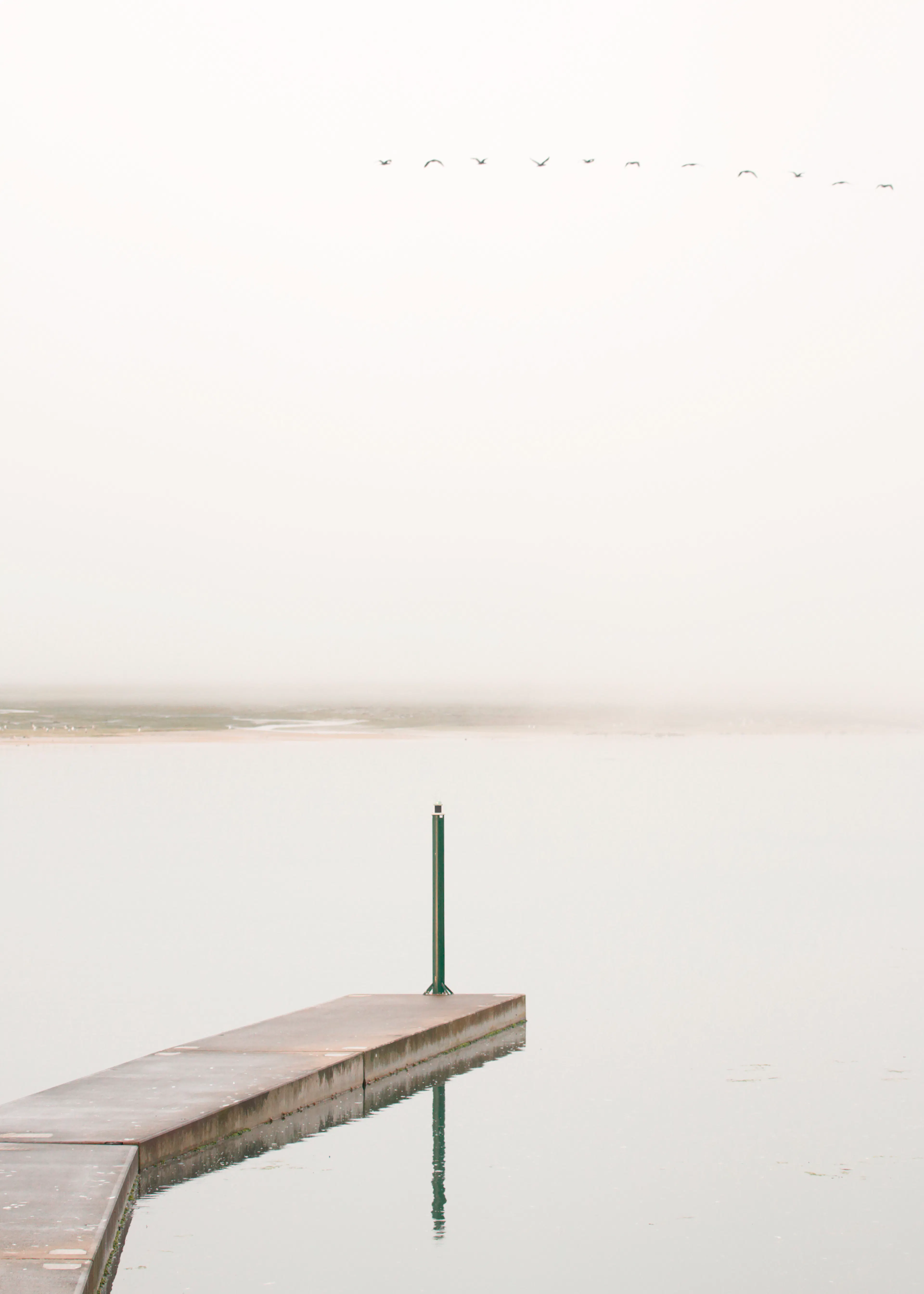 White Serene Dock Poster 0