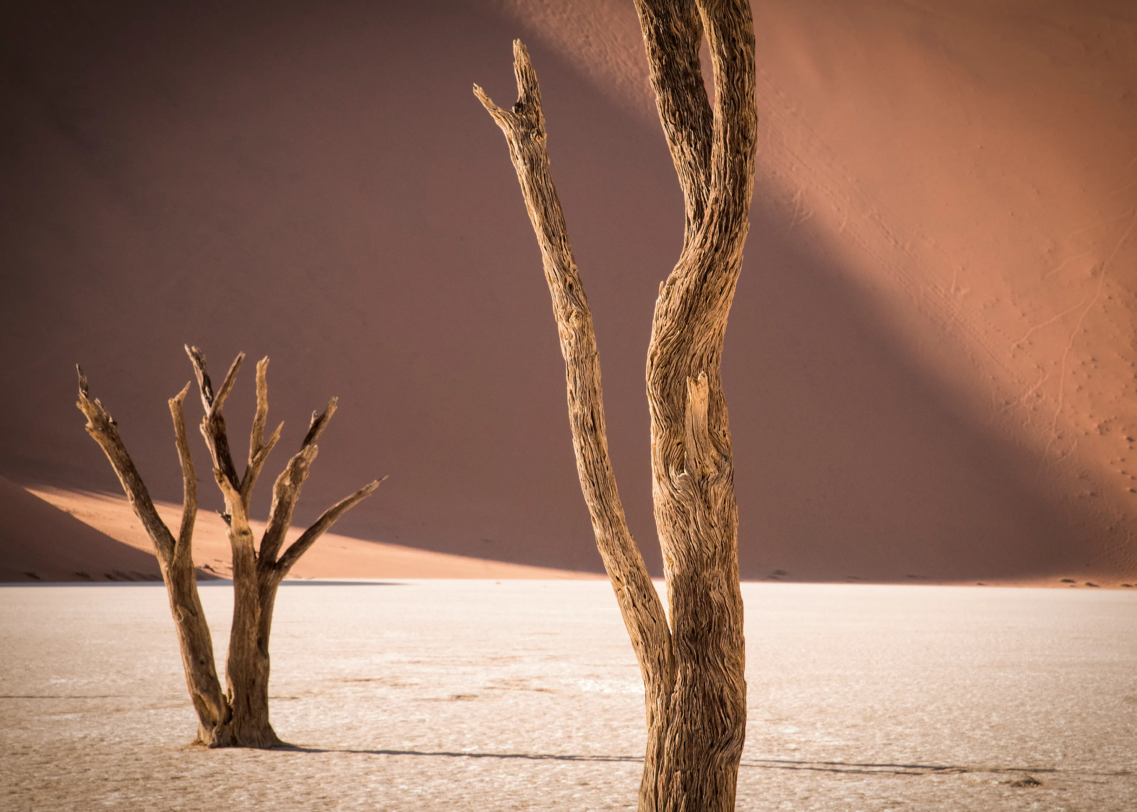 Desert Solitude Poster 0