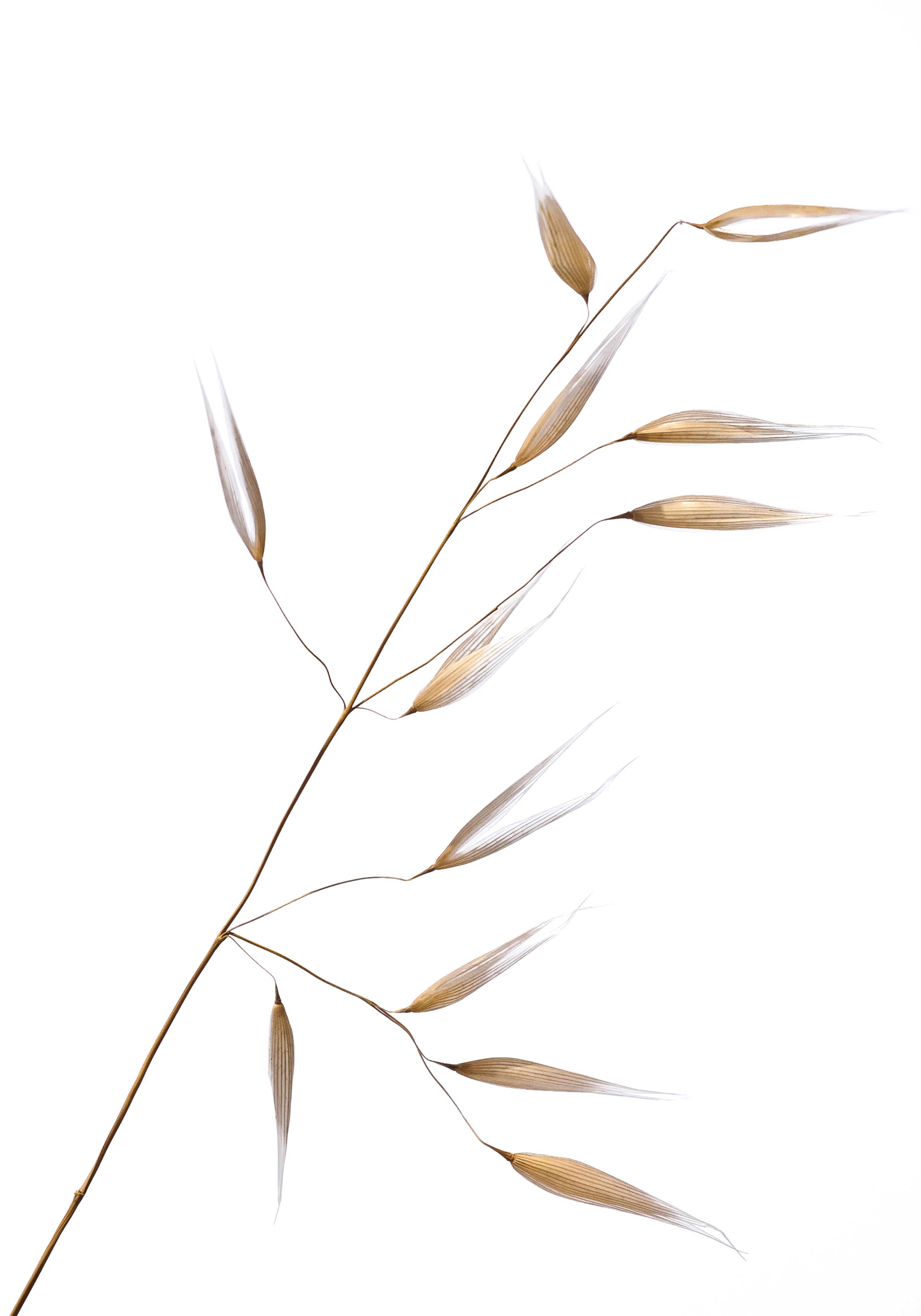 Product image: 1