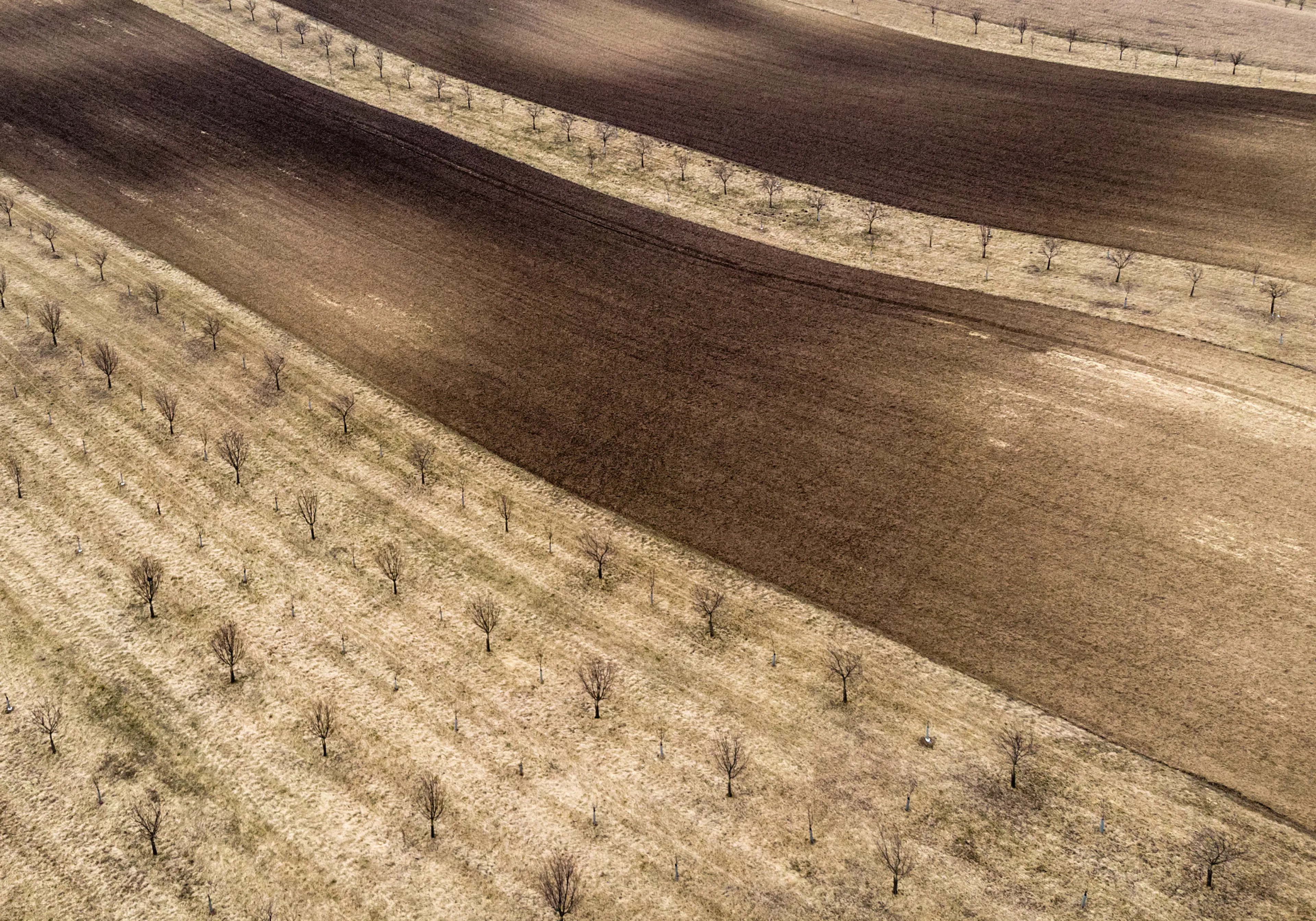 Product image: 1
