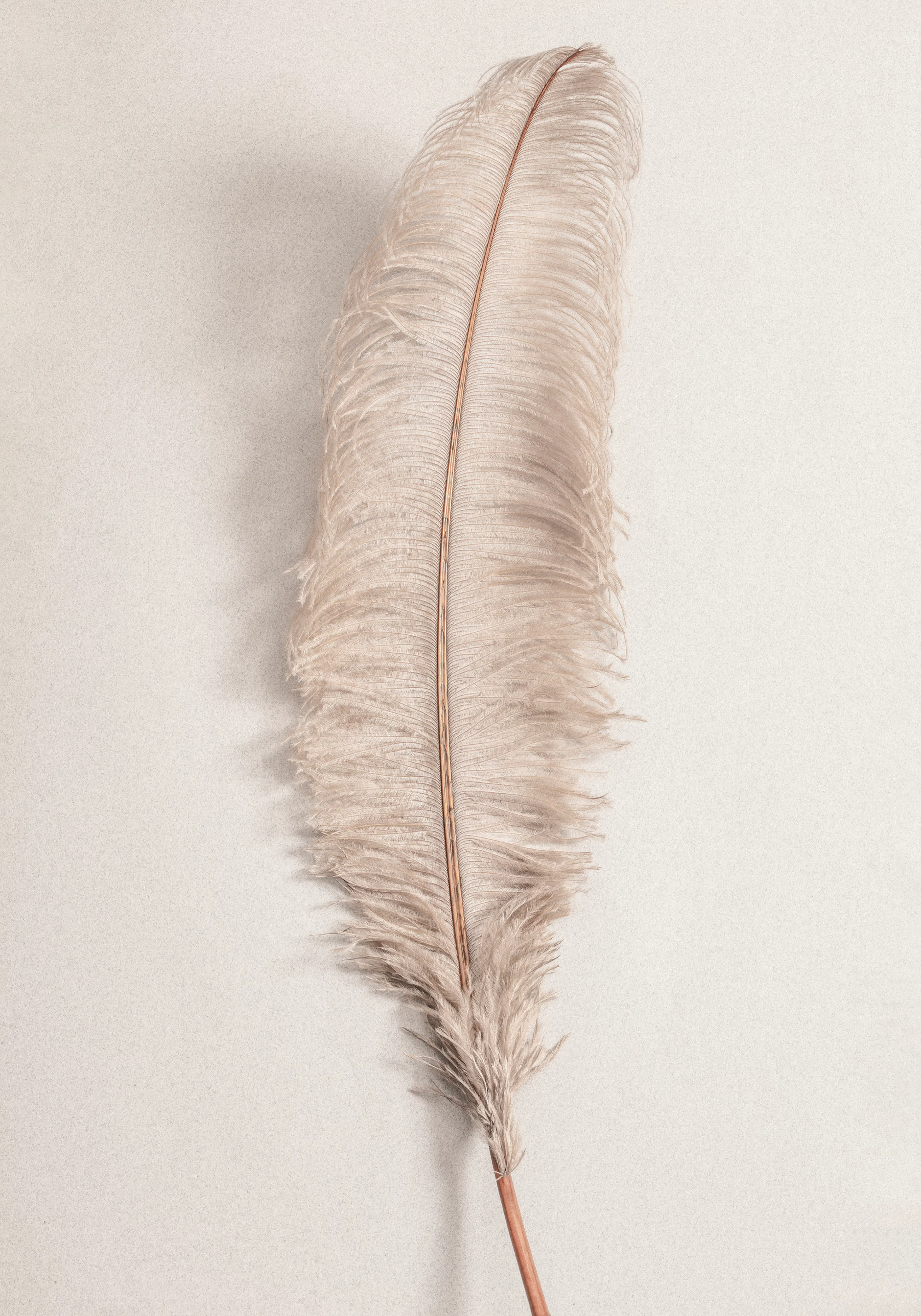 Product image: 1