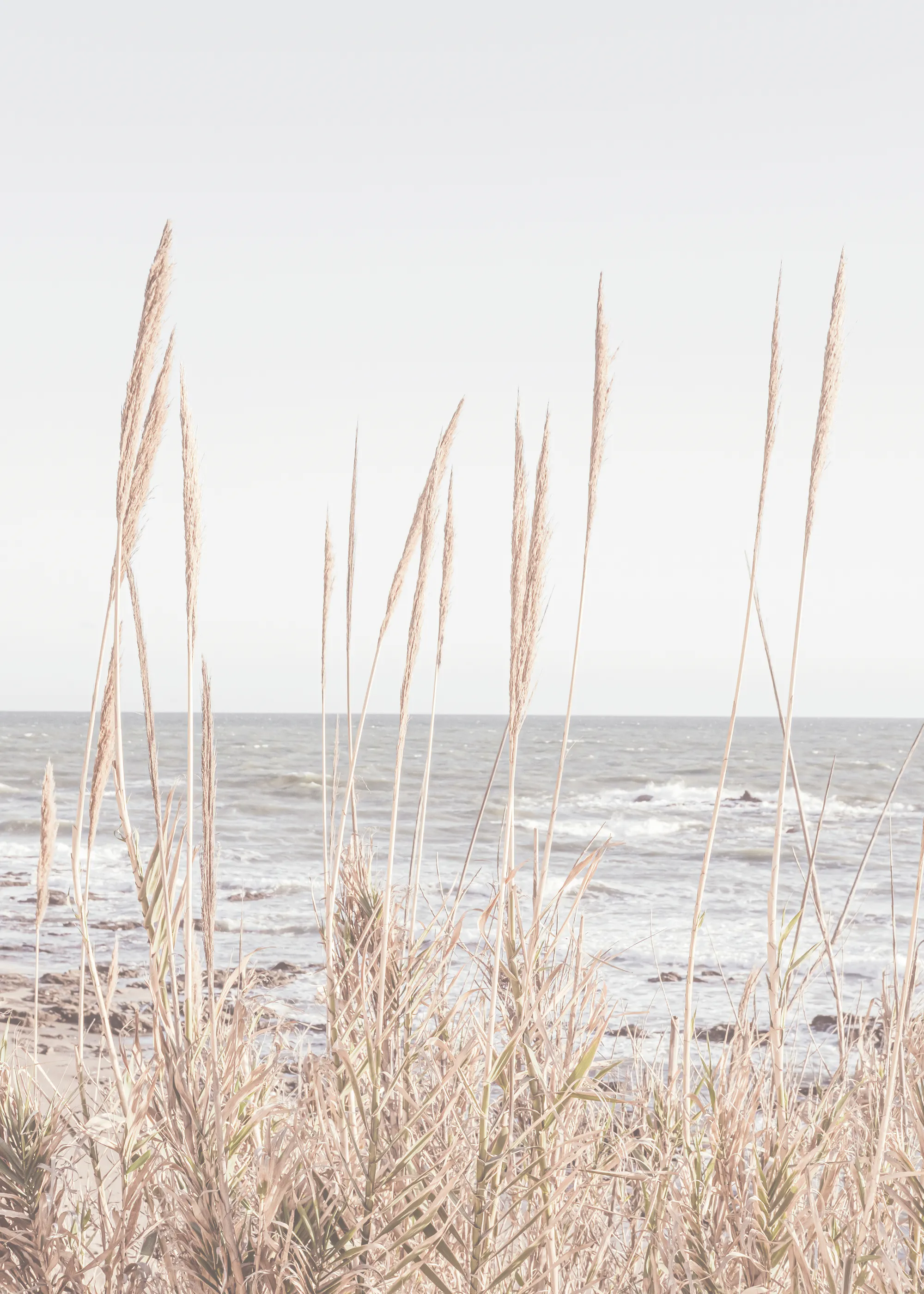 Serene Coastal Breeze Poster 0