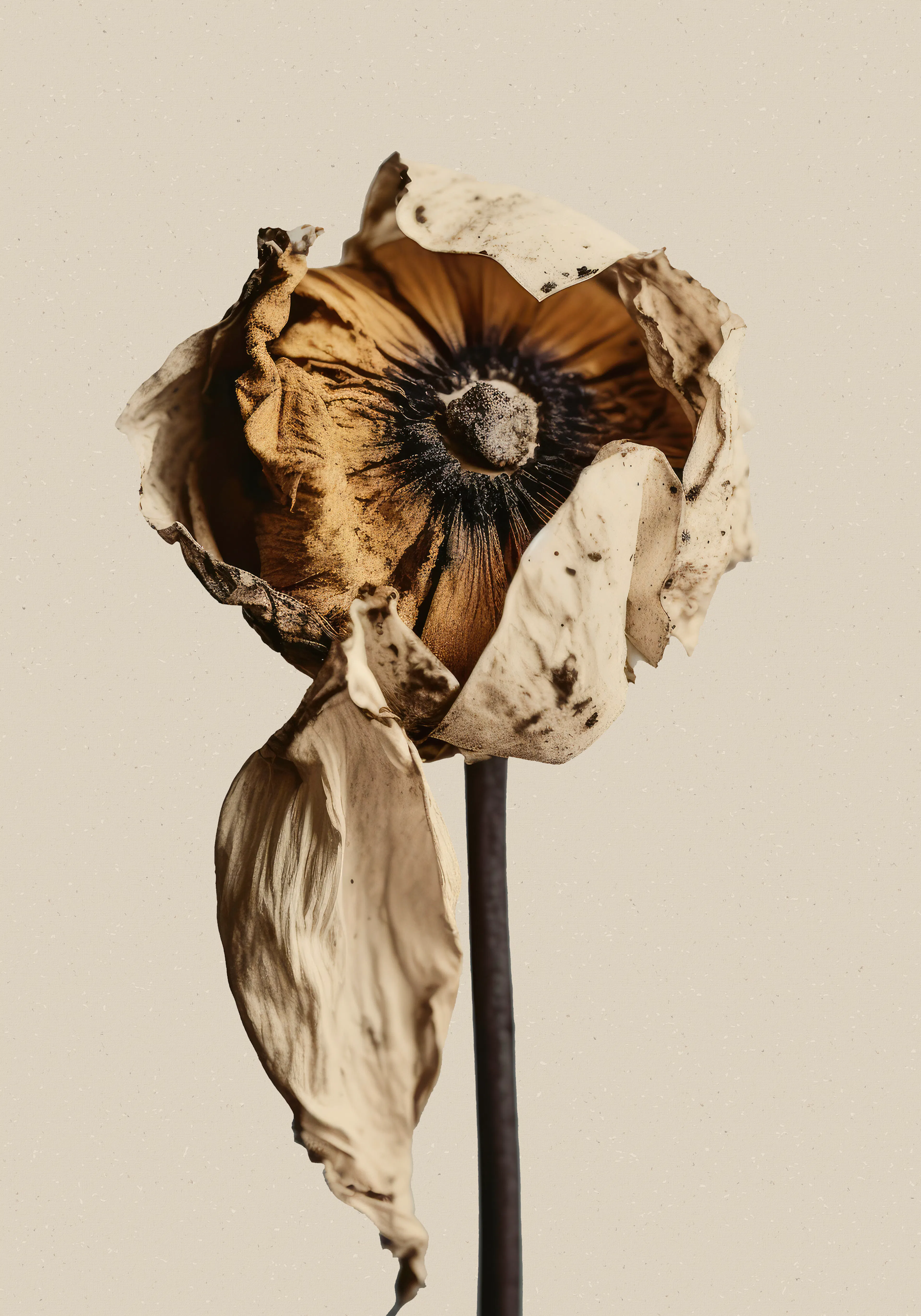 Product image: 1