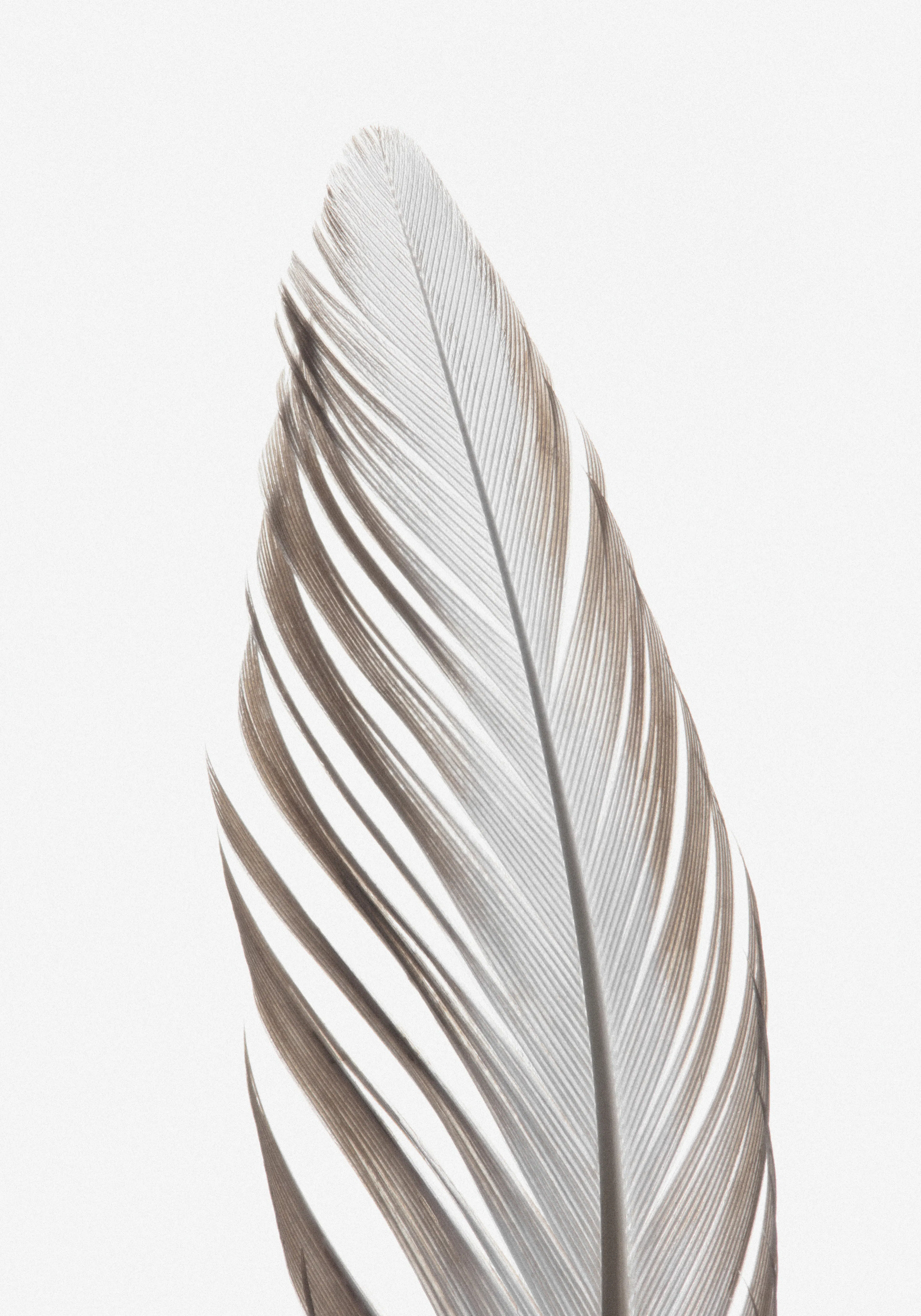 Product image: 1