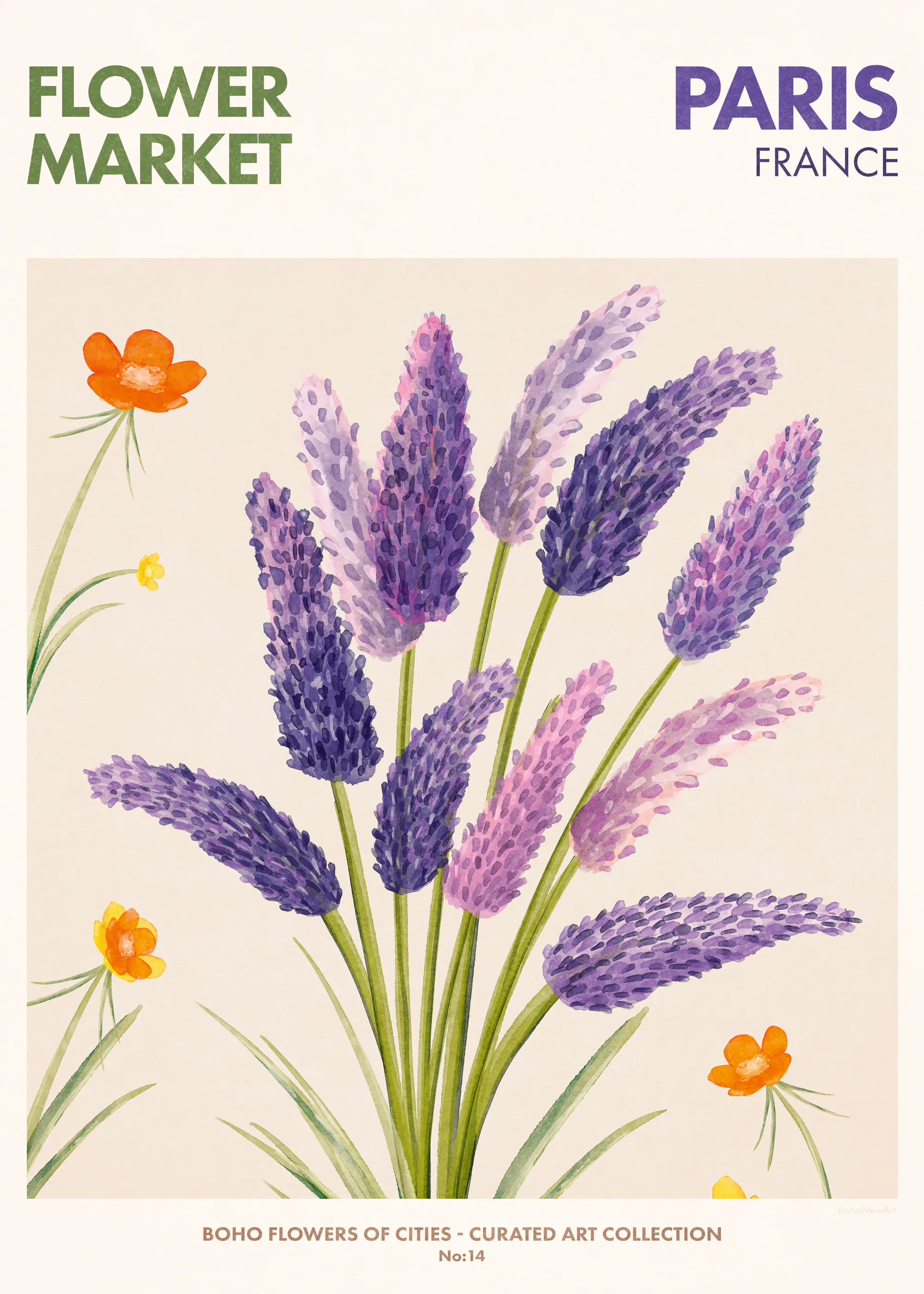Lavender Bloom Poster 0