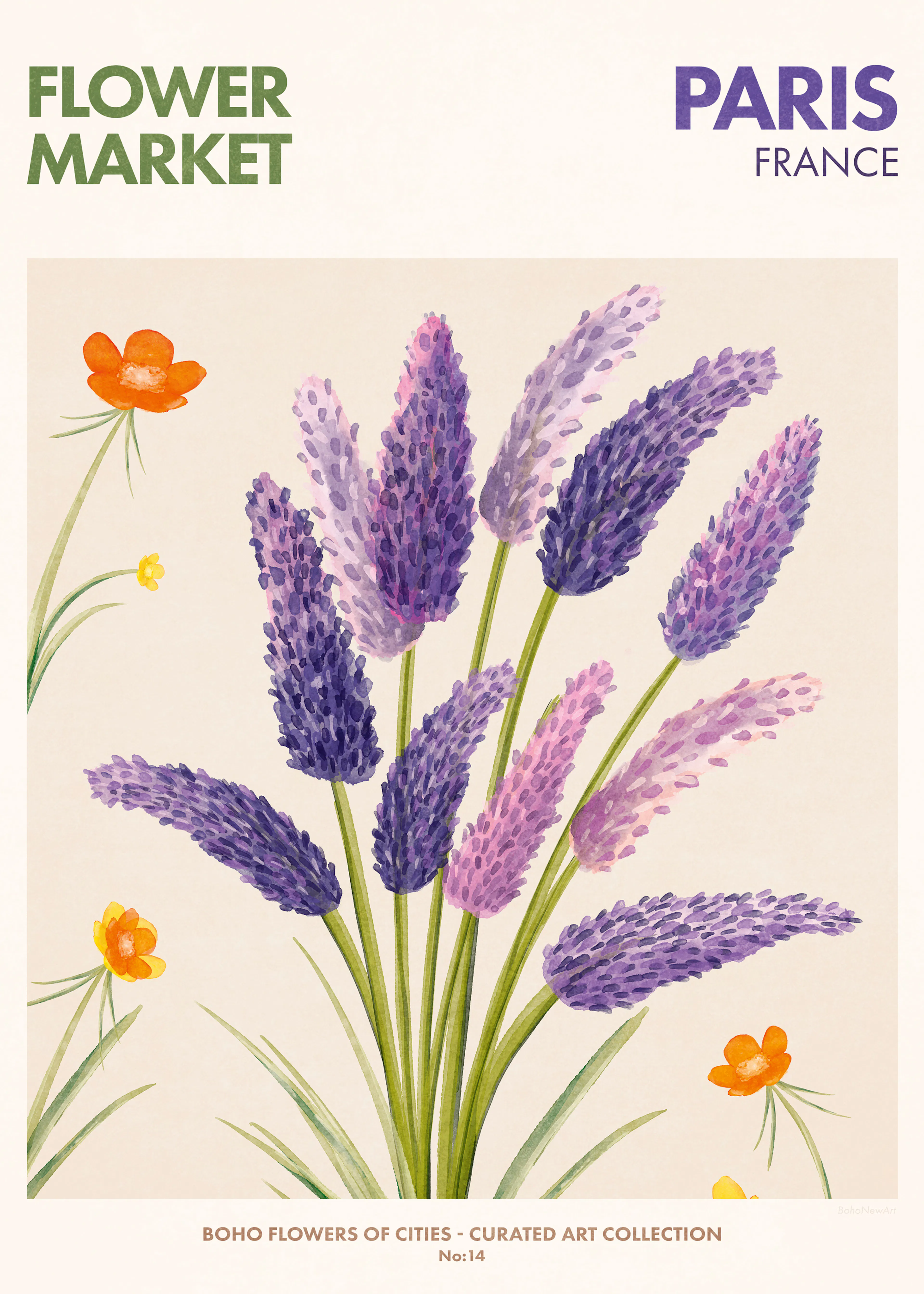 Lavender Bloom Poster 0