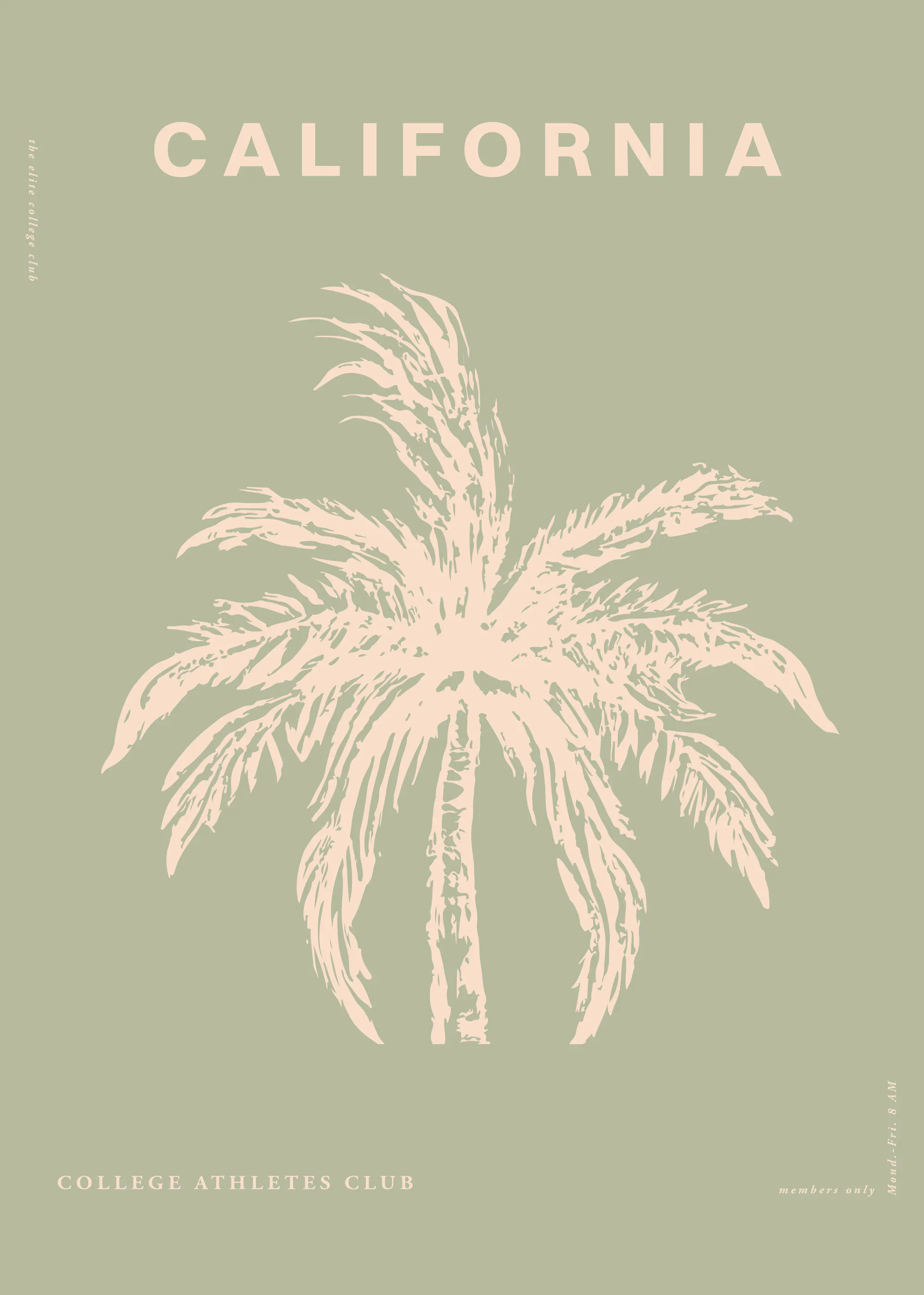 Beige California Palms Plakat 0
