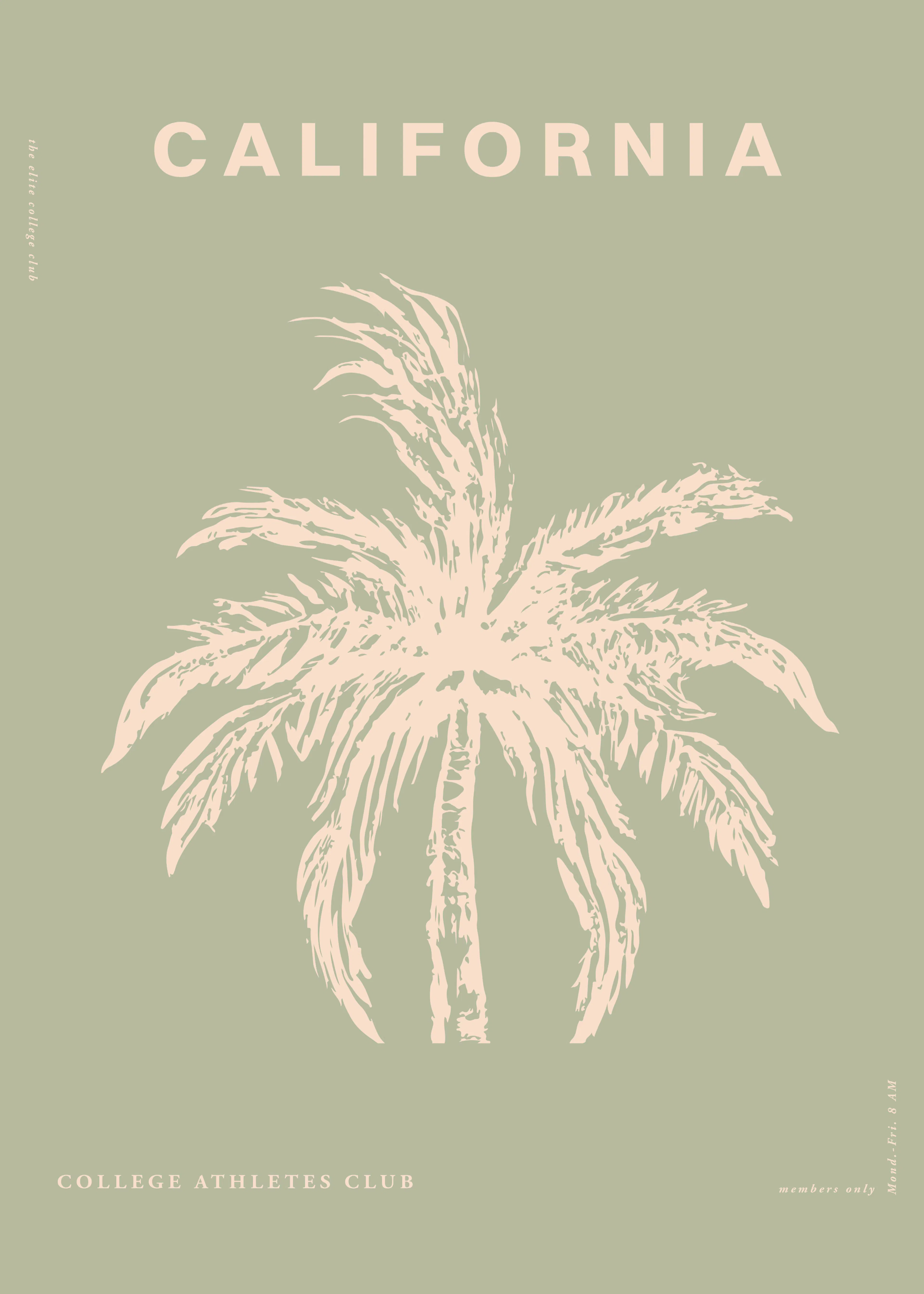 Beige California Palms Poster 0