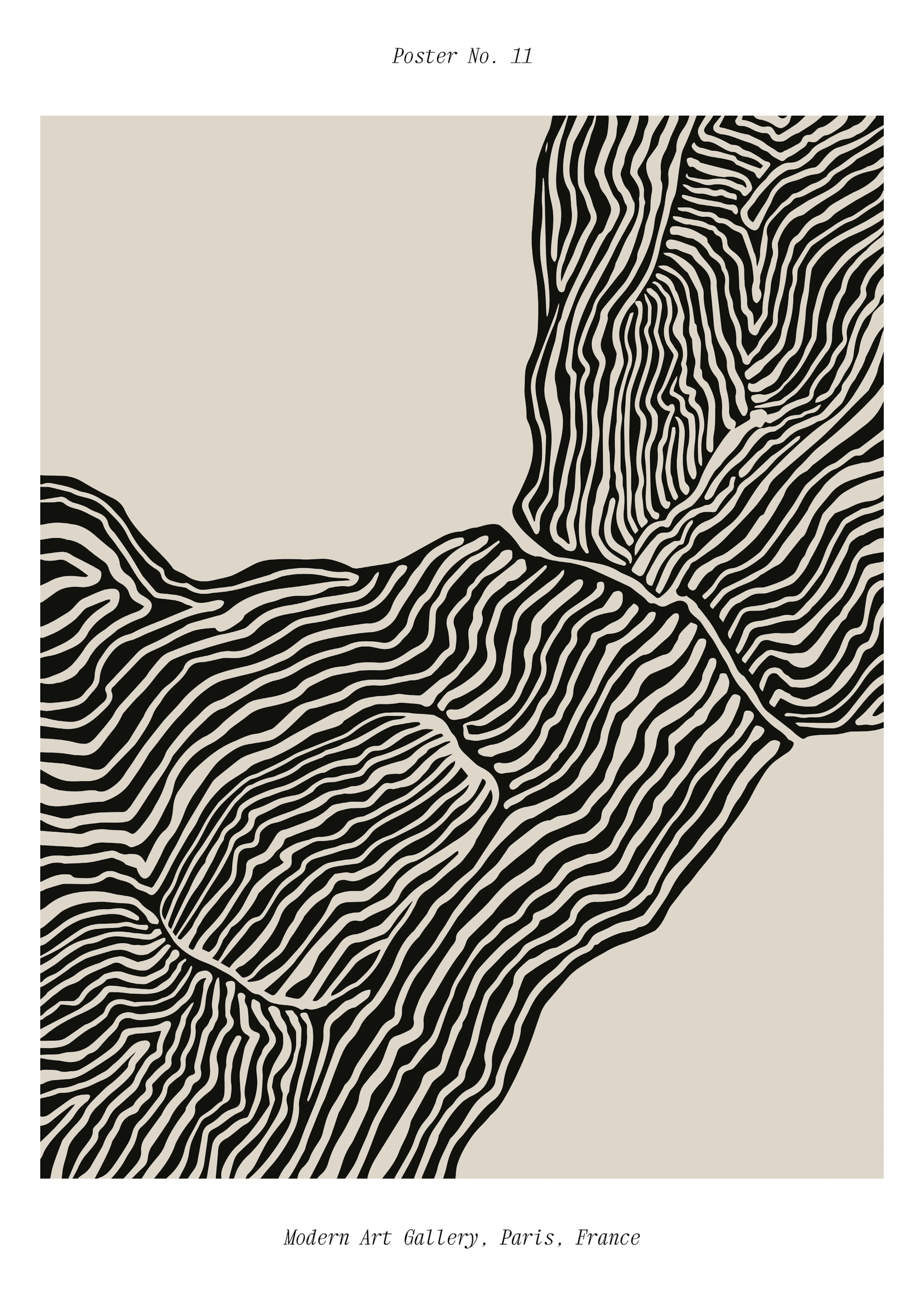 Abstract Contours Poster 0