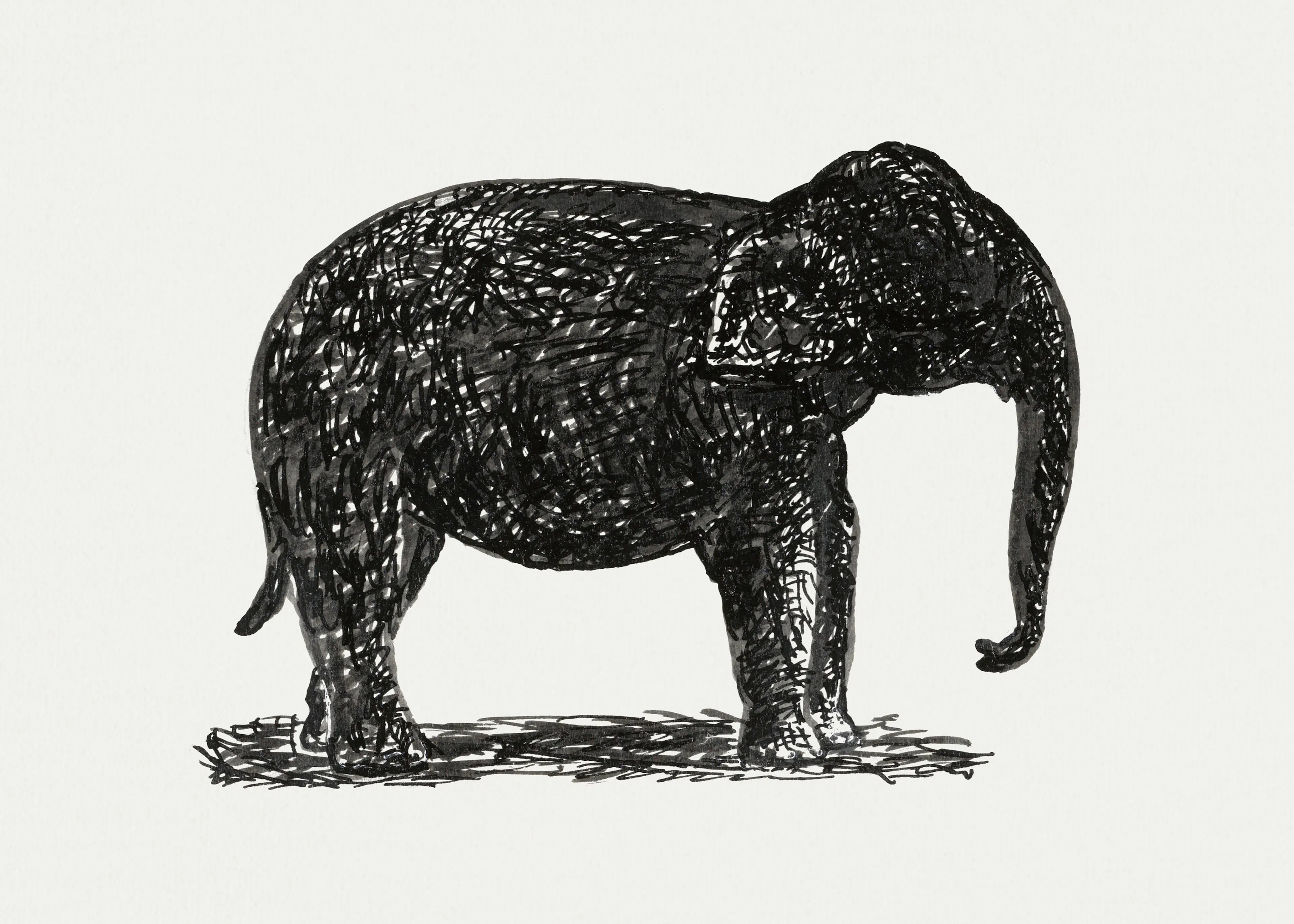 Elephant Silhouette Poster 0