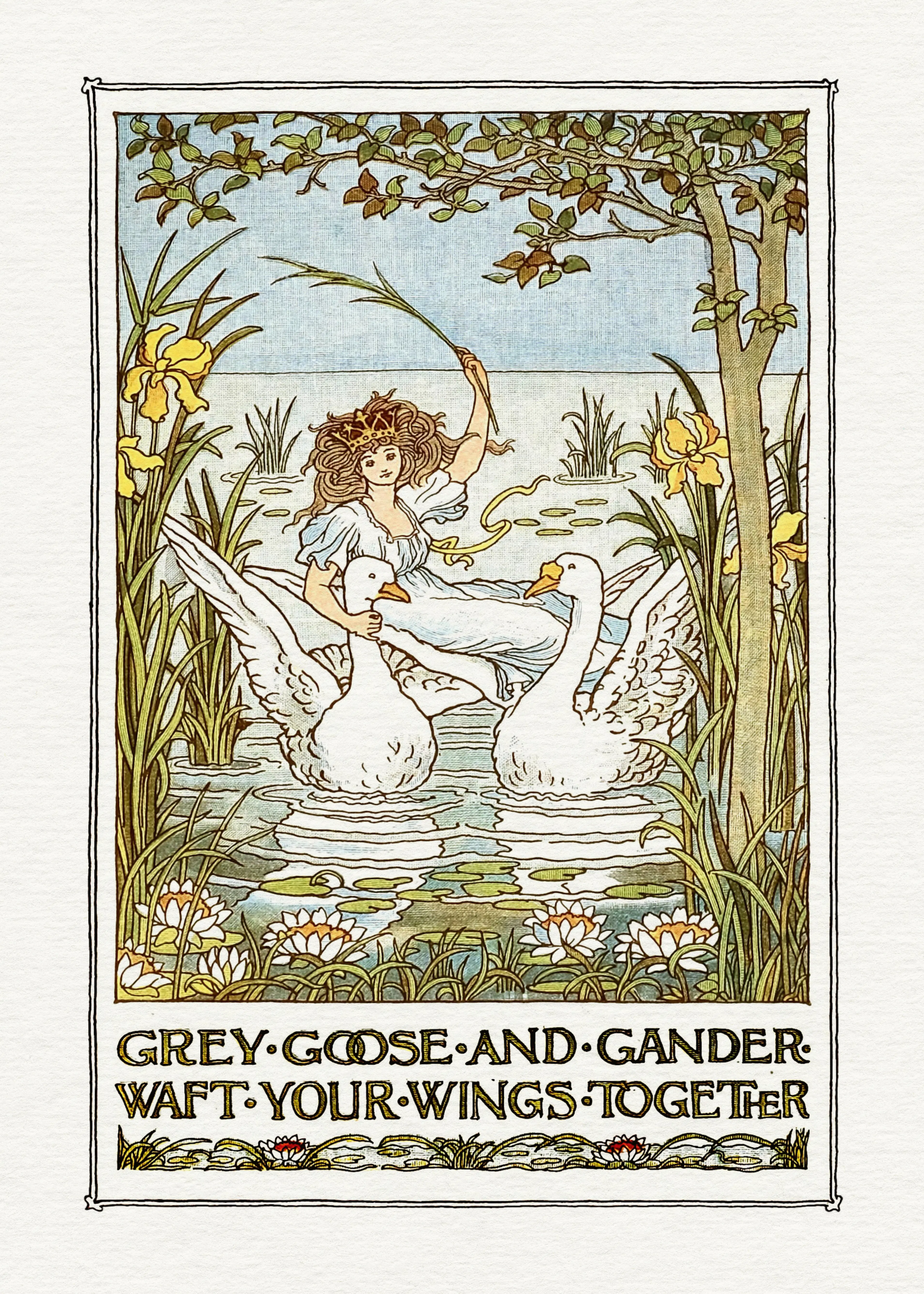 White Graceful Swans Poster 0