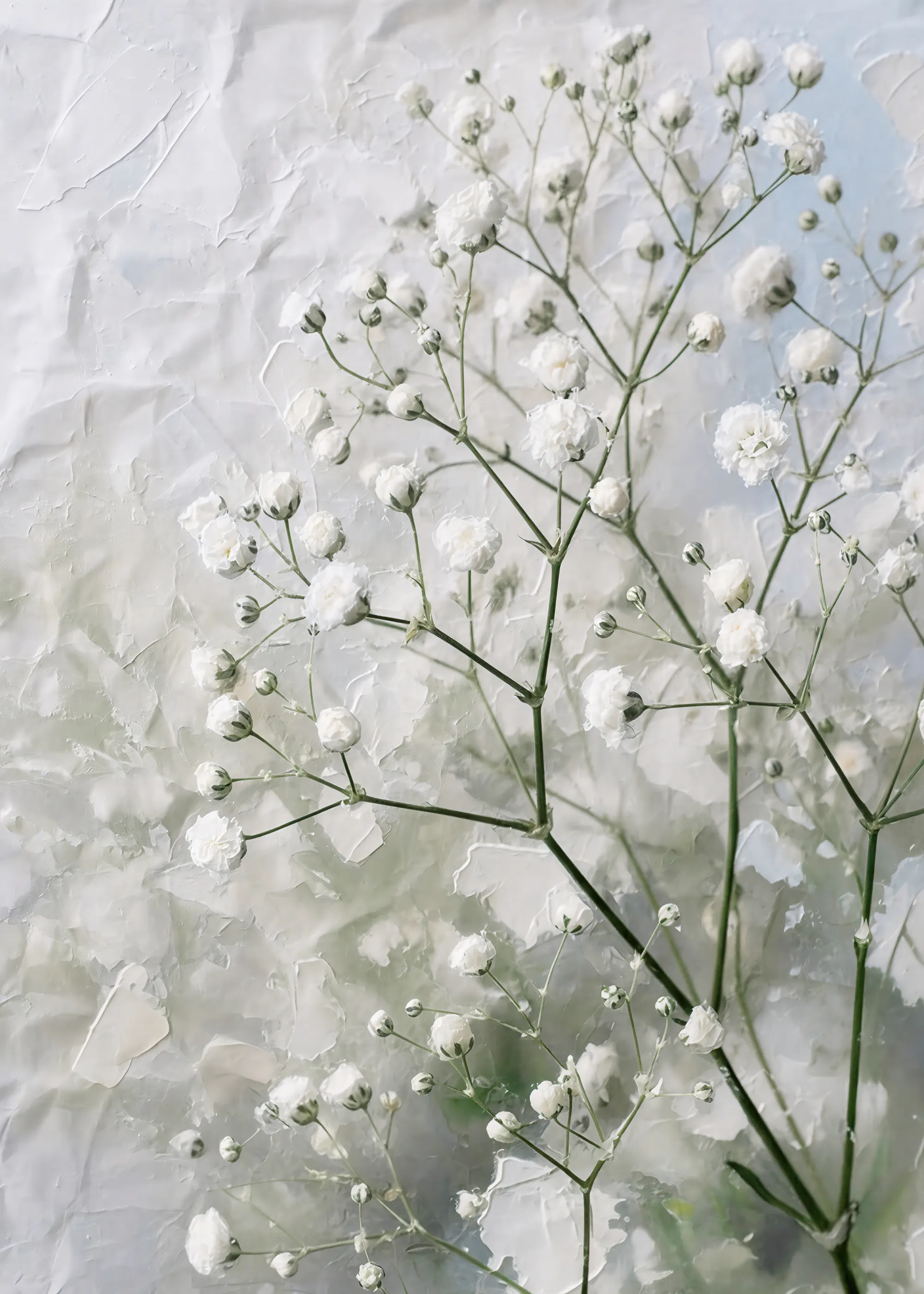 Parel Delicate Bloesems Poster 0