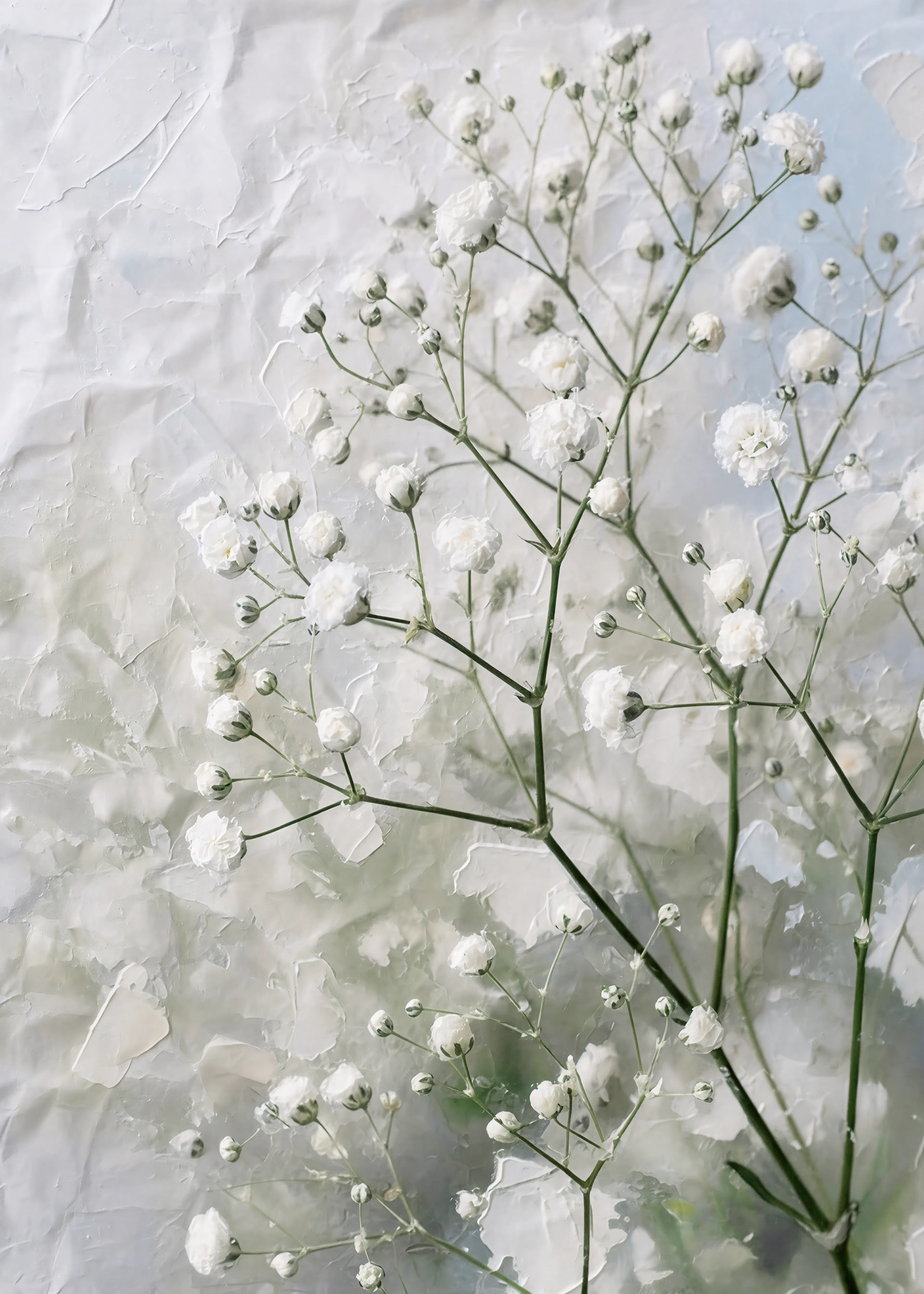 Pearl Delicate Blooms Poster 0