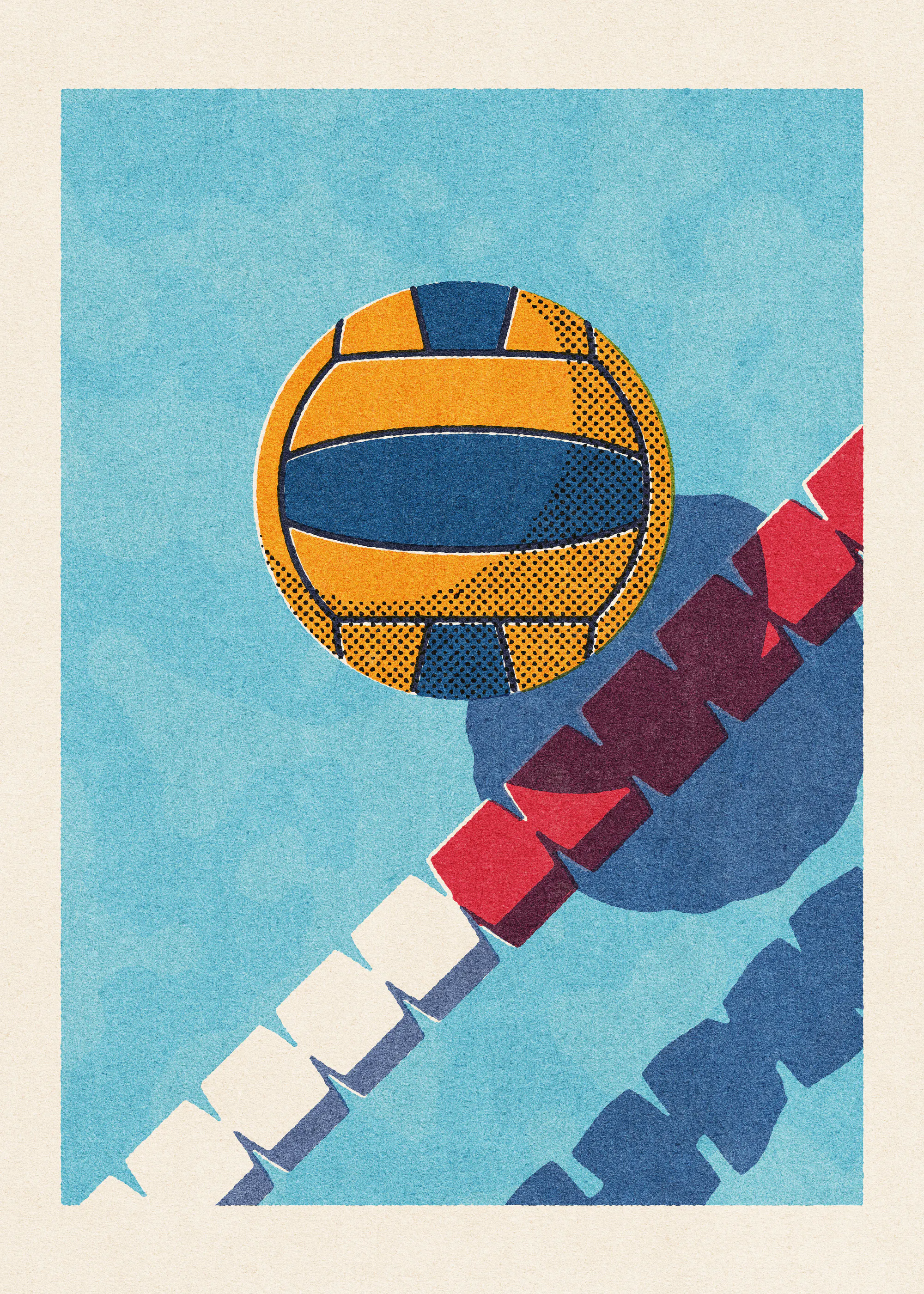 Volleyball En Vol Poster 0