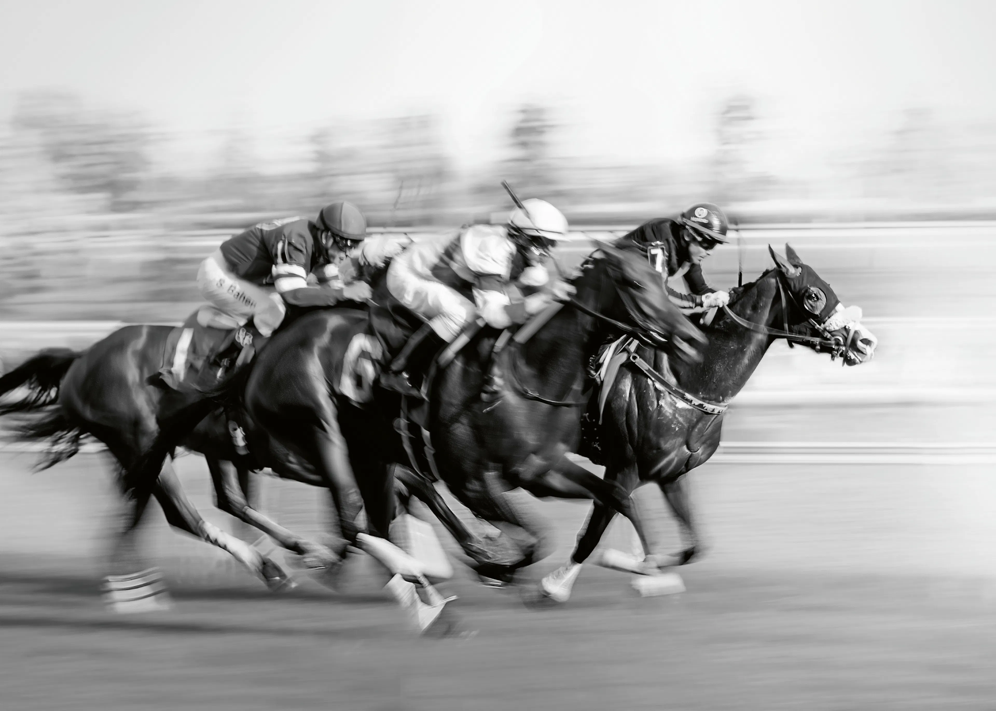 Horse Race Poster 0