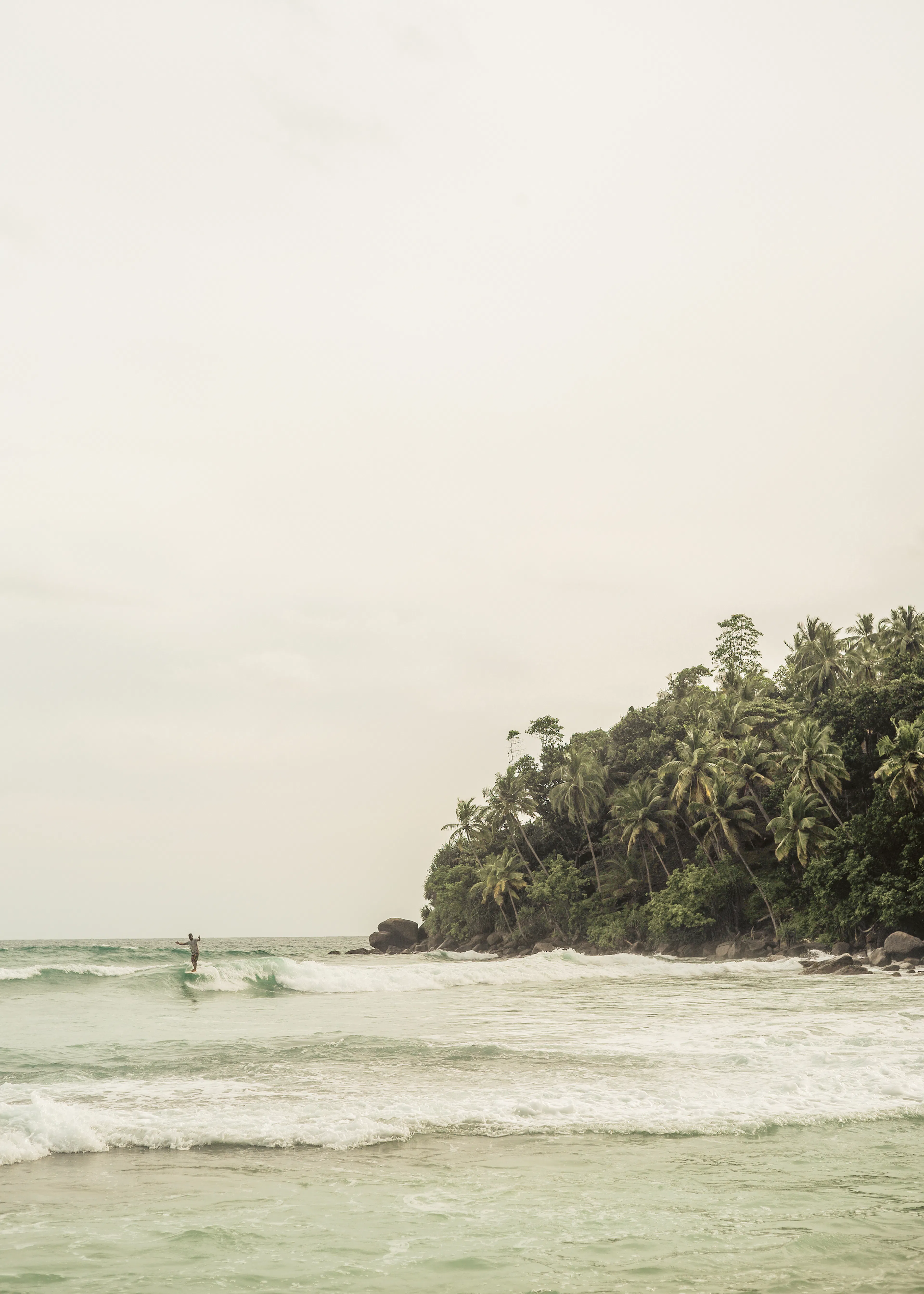 Soft Green Serene Coastline Poster 0