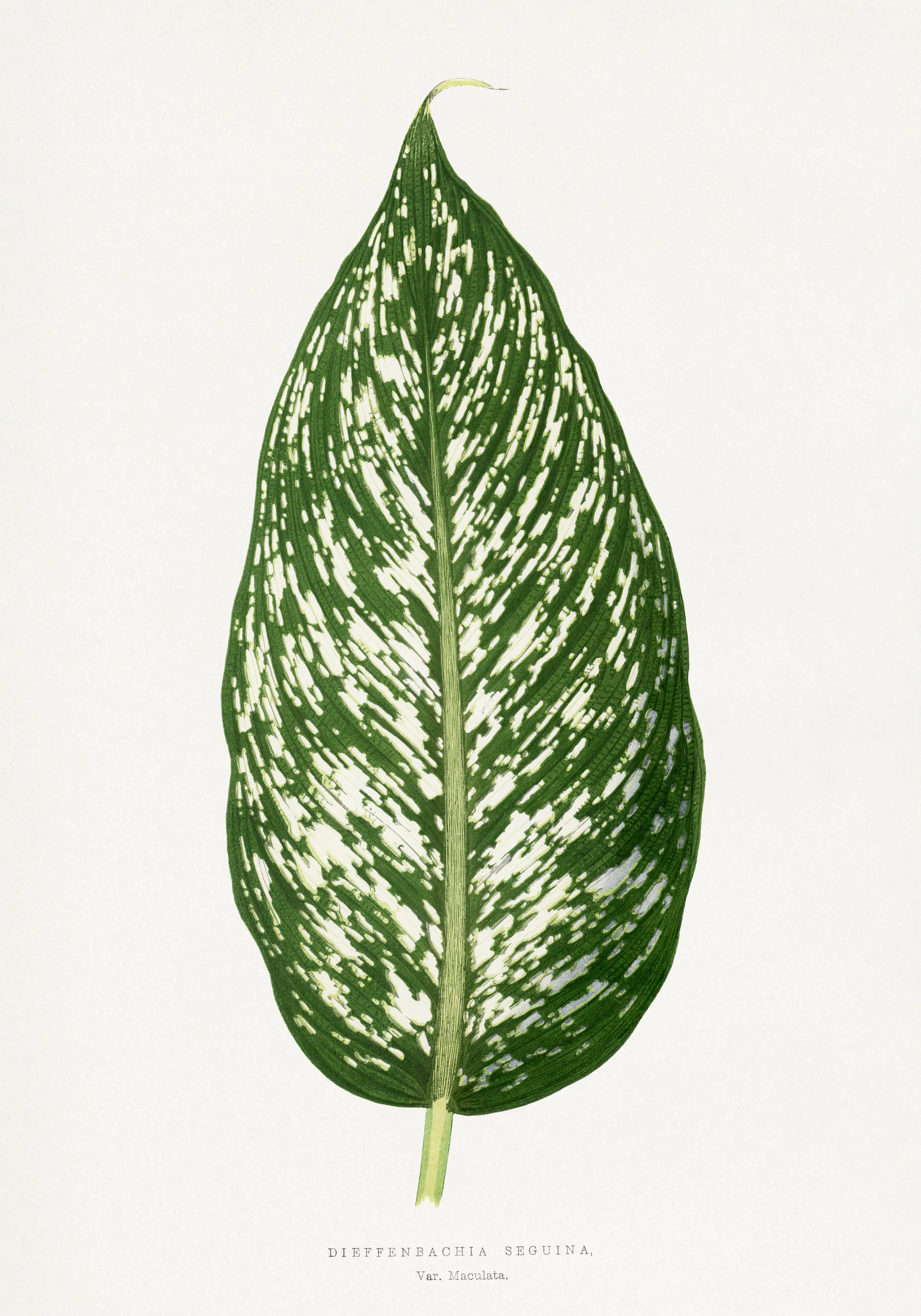 Product image: 1