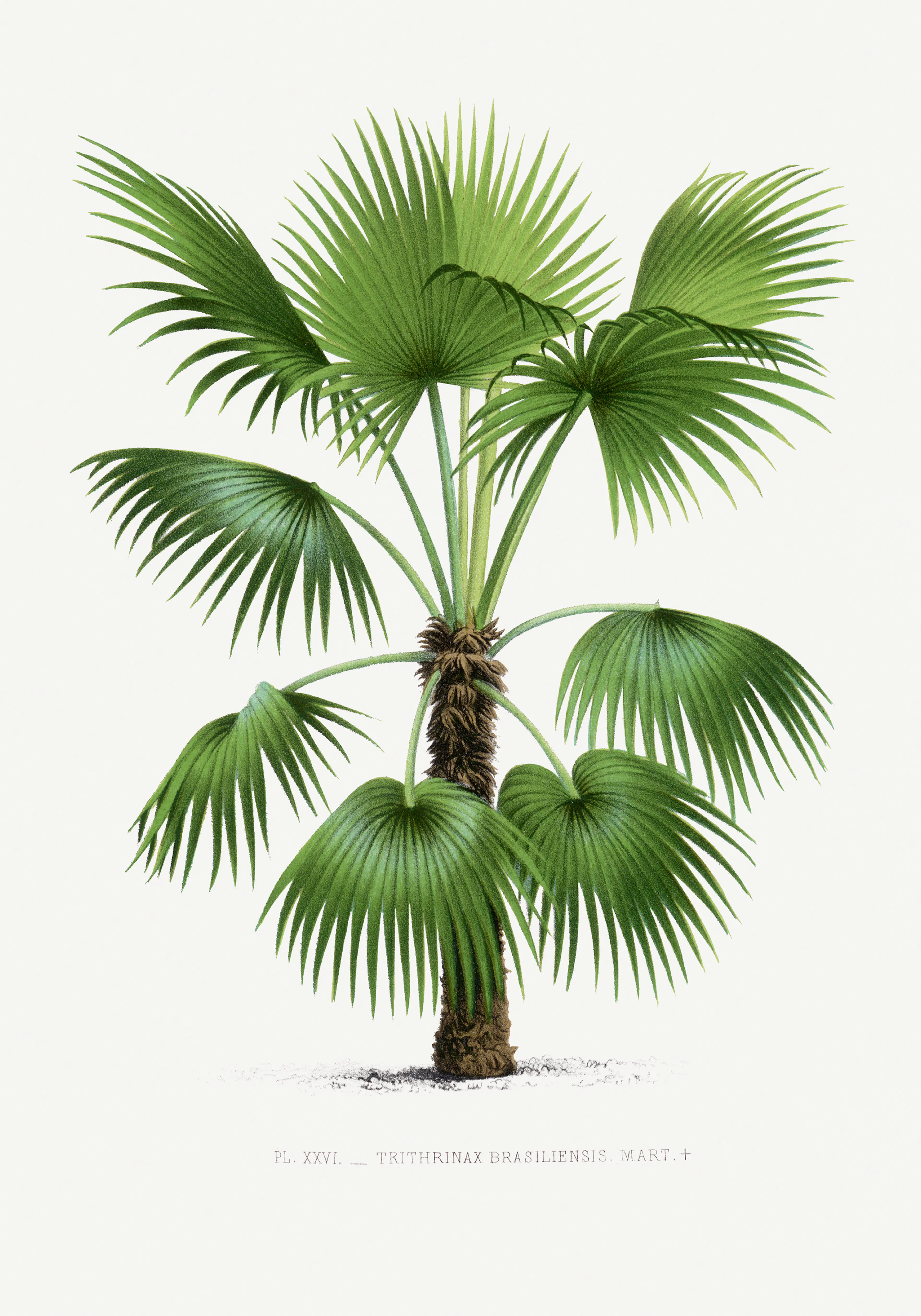 Product image: 1