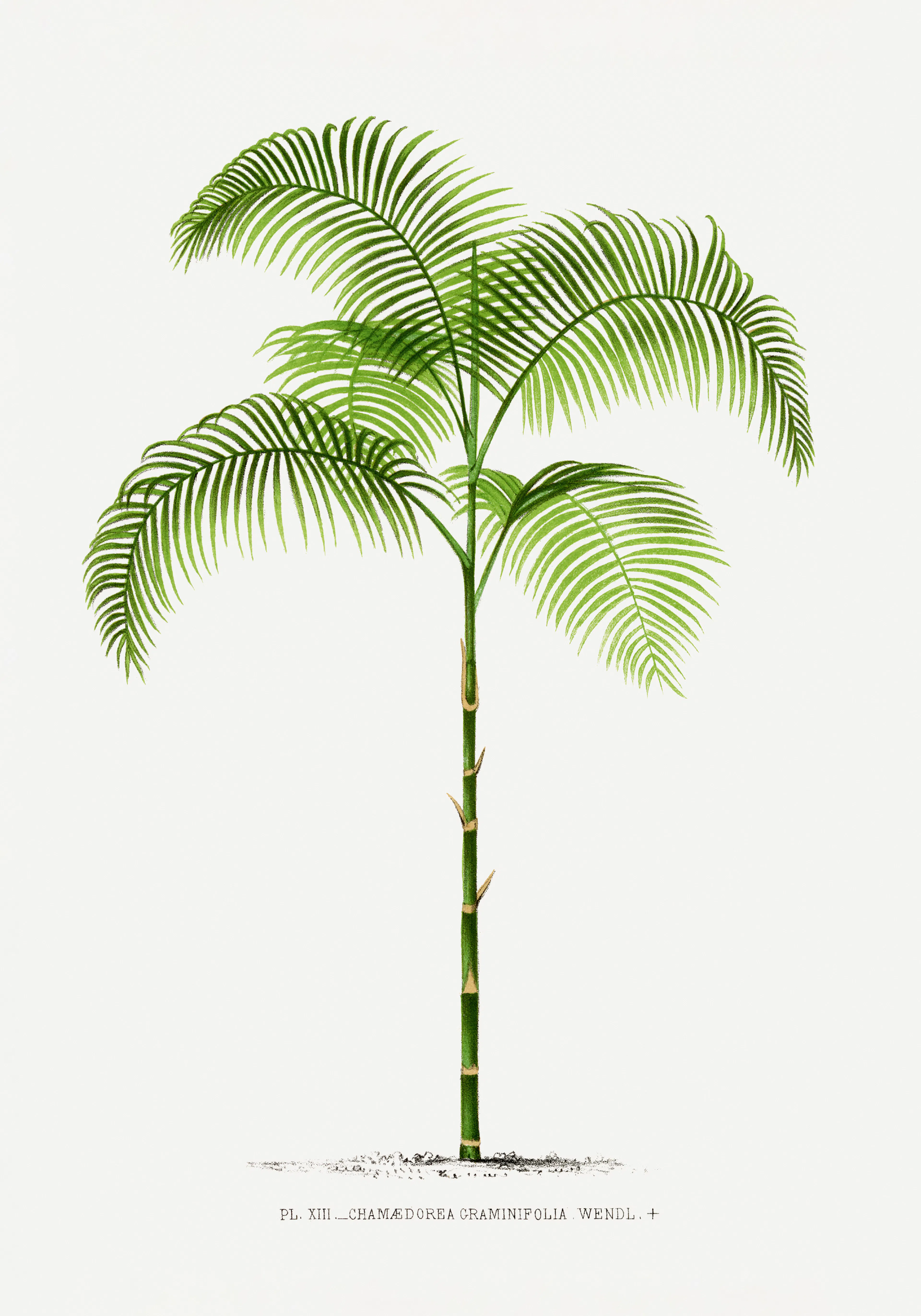 Product image: 1