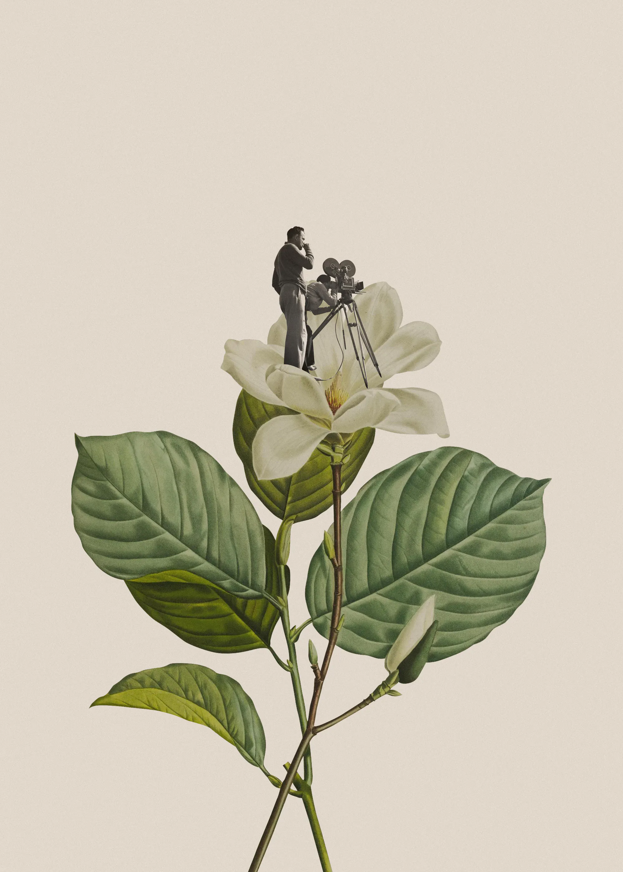 Tiny Explorers Poster 0