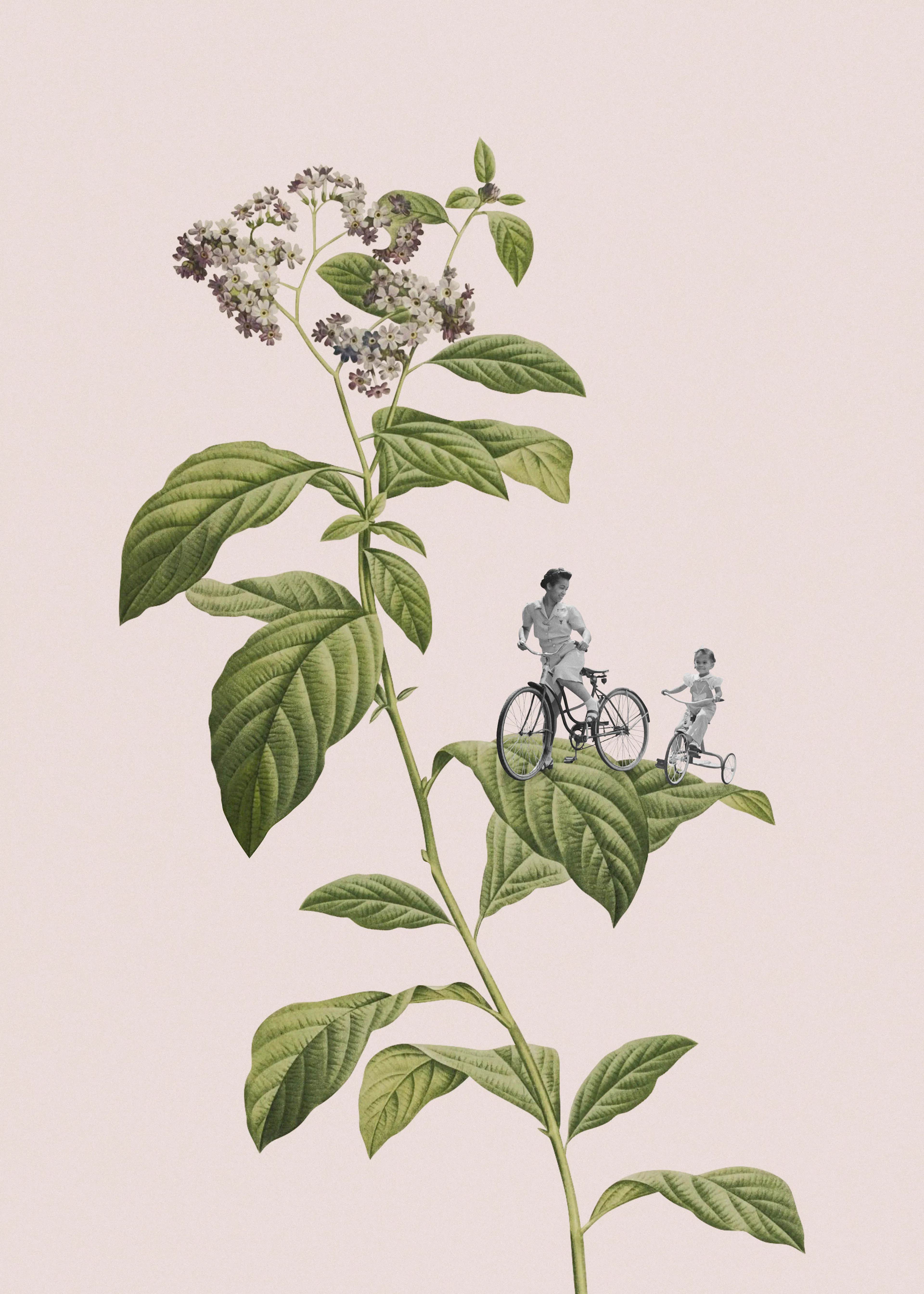 Mint Botanical Elegance Poster 0