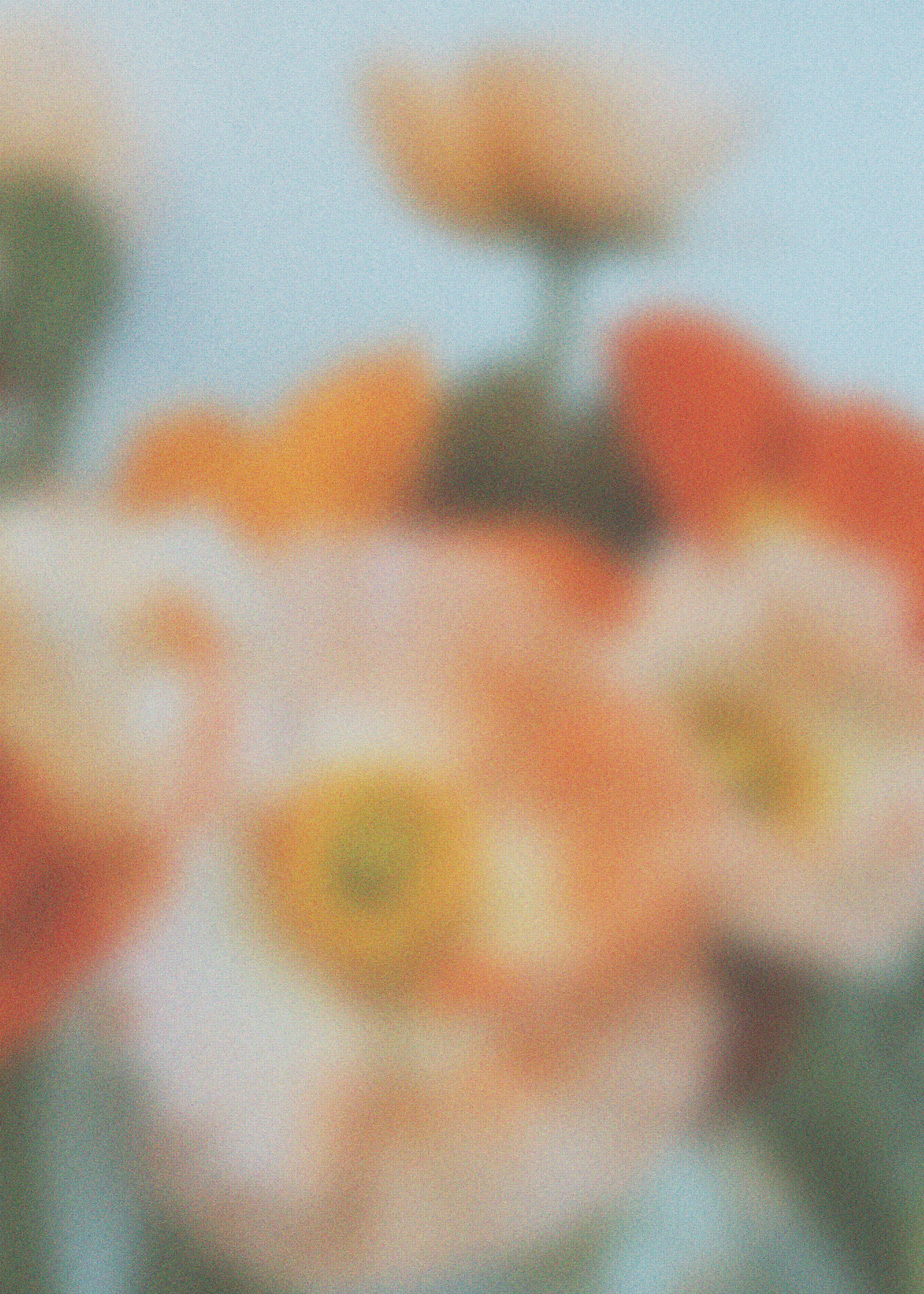 Blossom Haze Poster 0