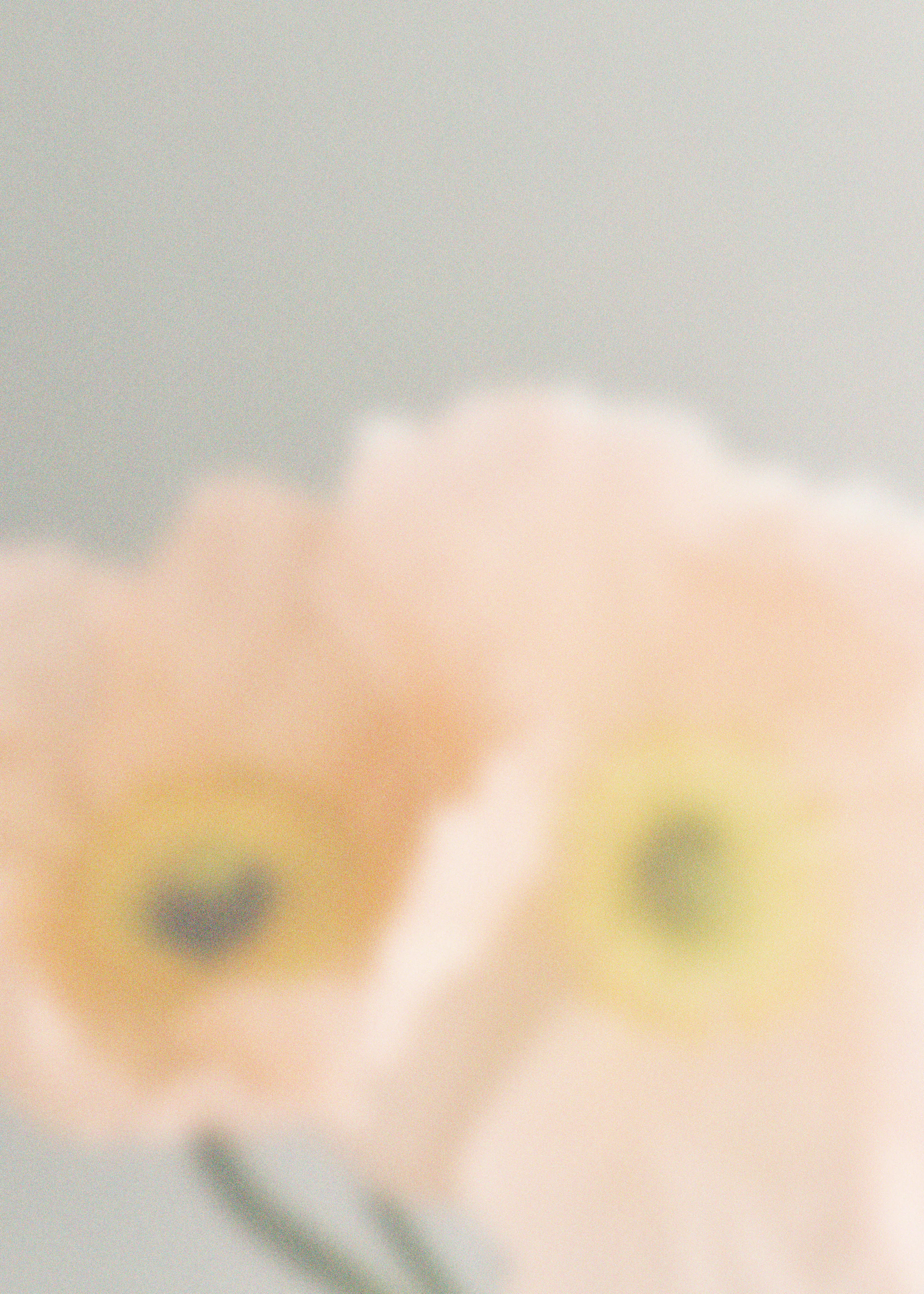 Peach Soft Bloom Poster 0