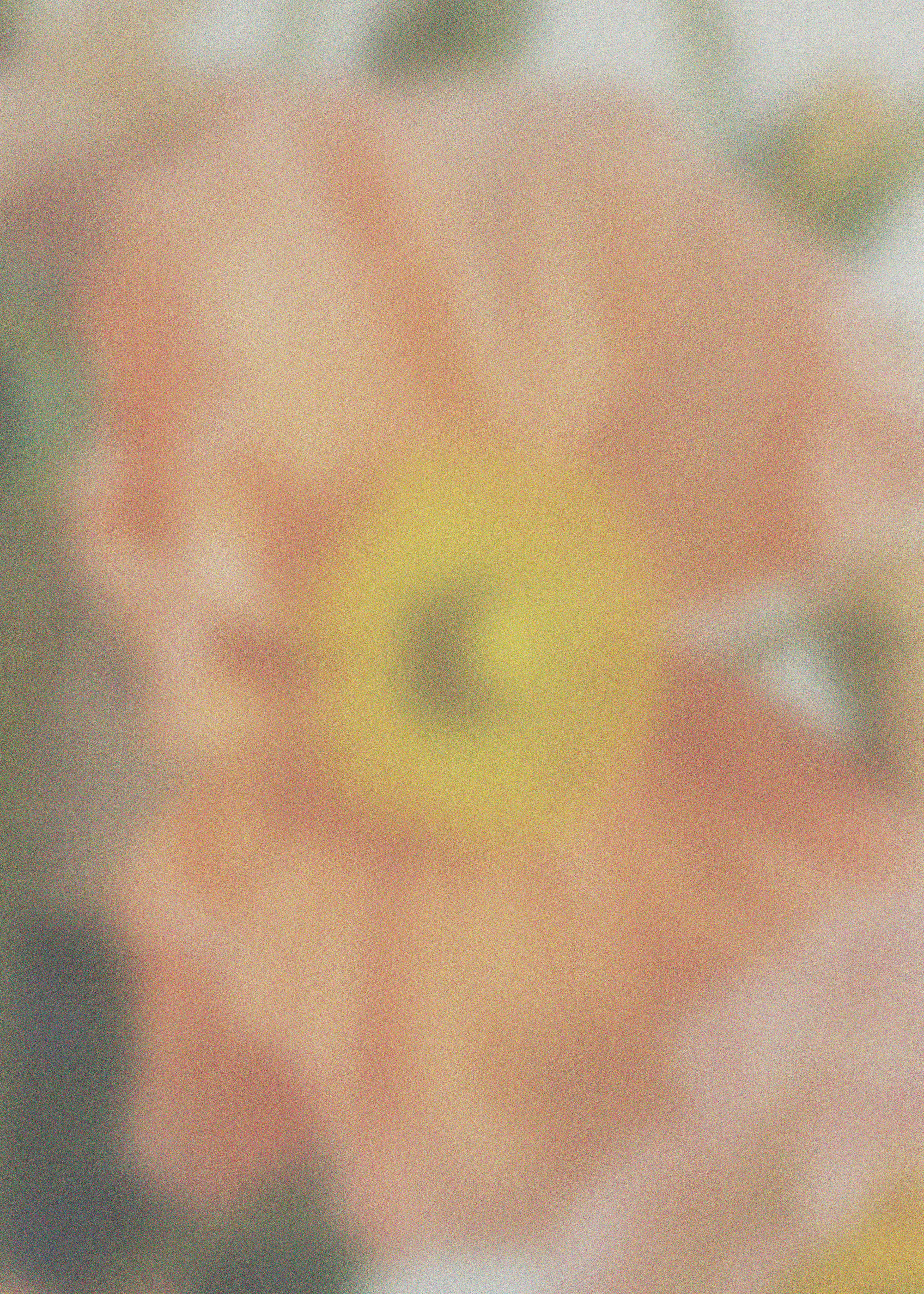 Coral Soft Bloom Poster 0