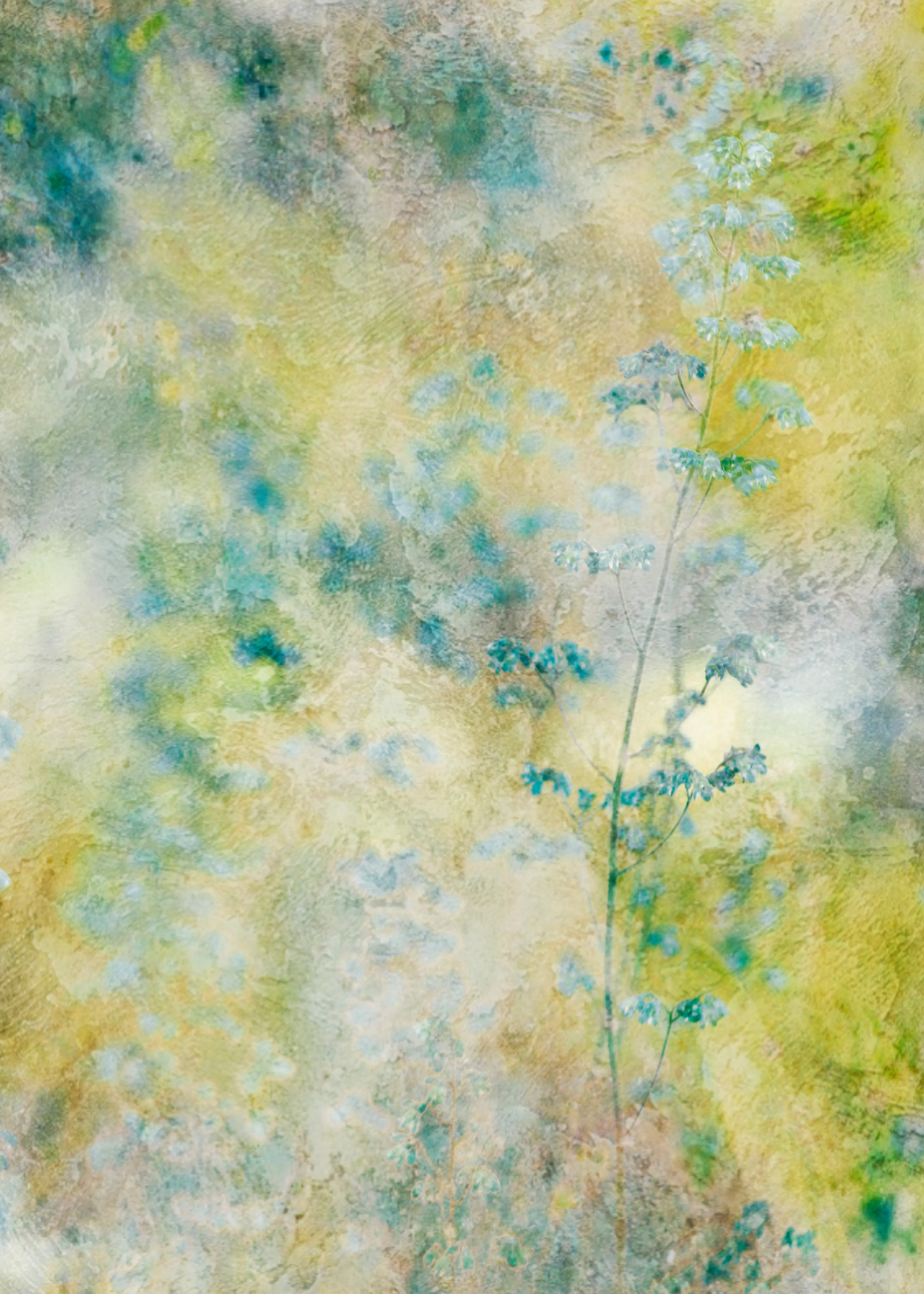 Sage Misty Forest Poster 0
