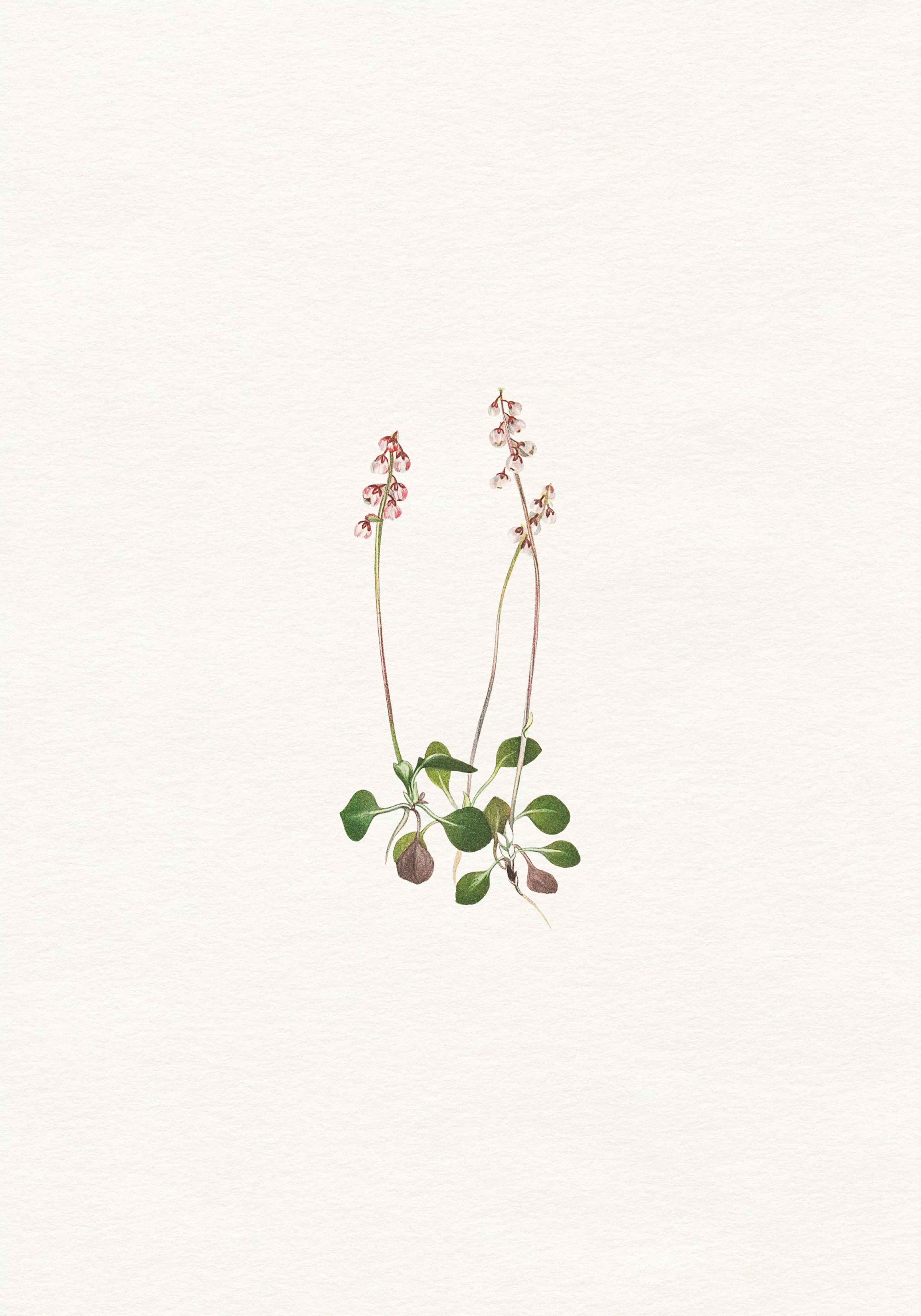 Product image: 1