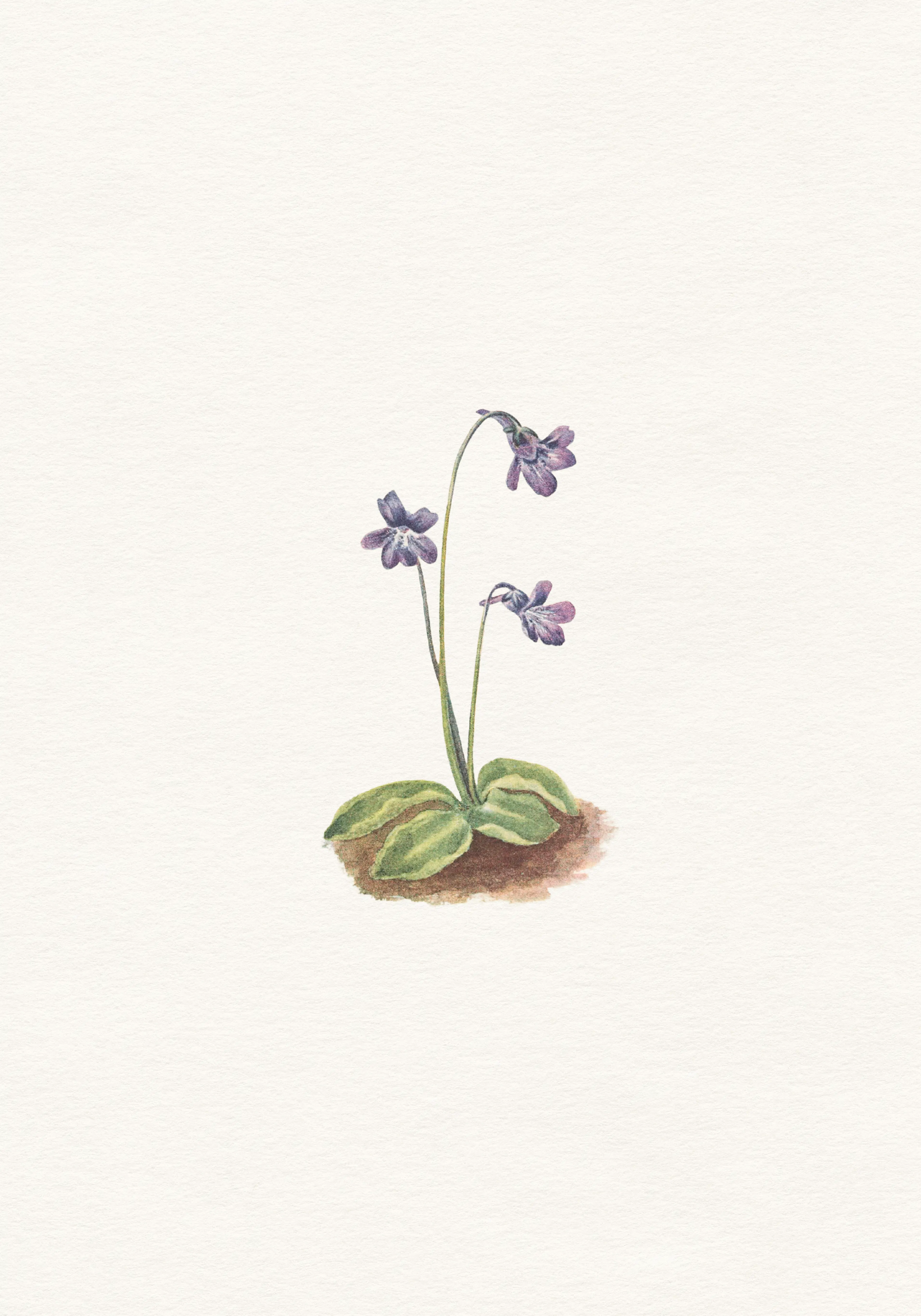 Product image: 1