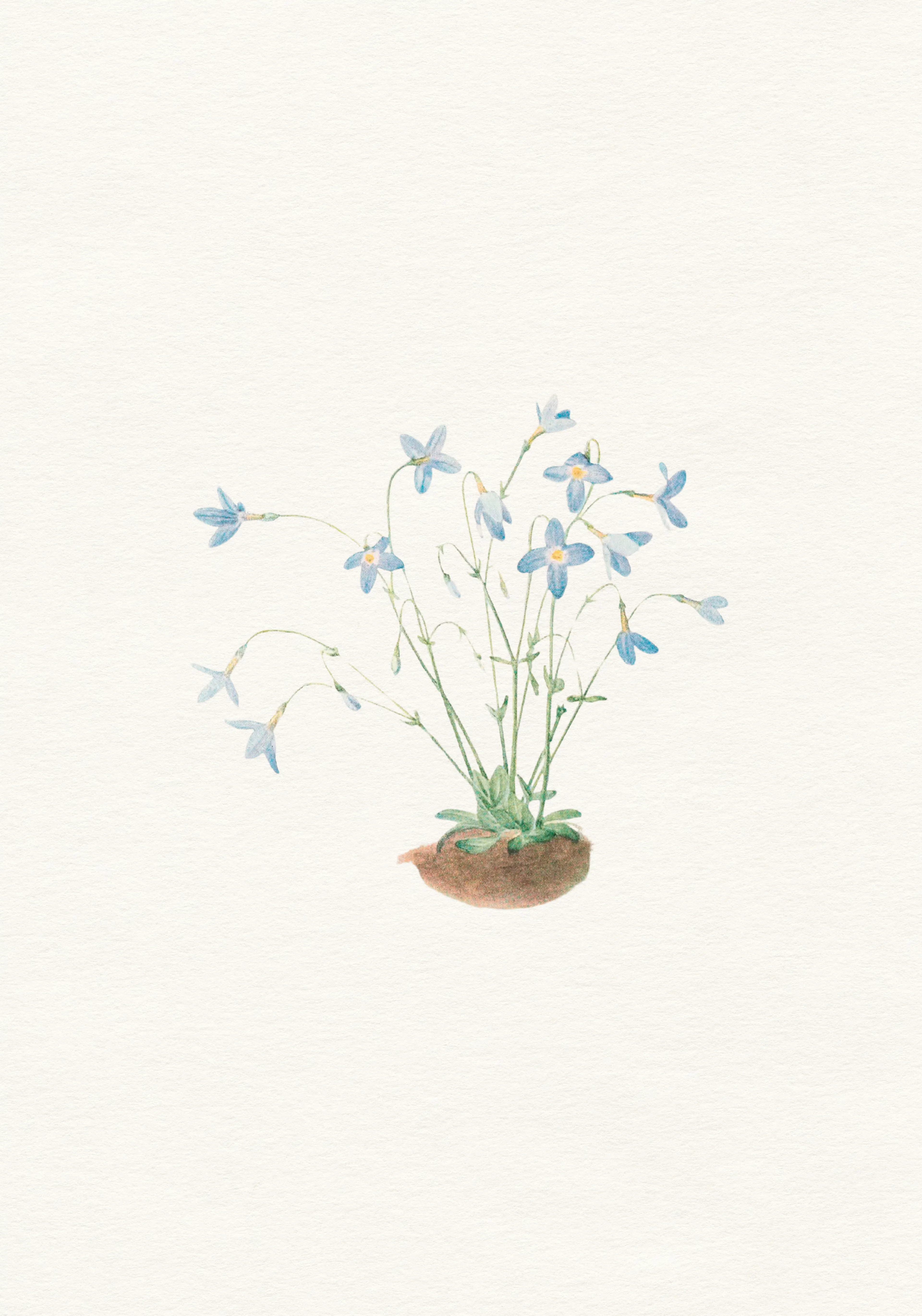 Product image: 1