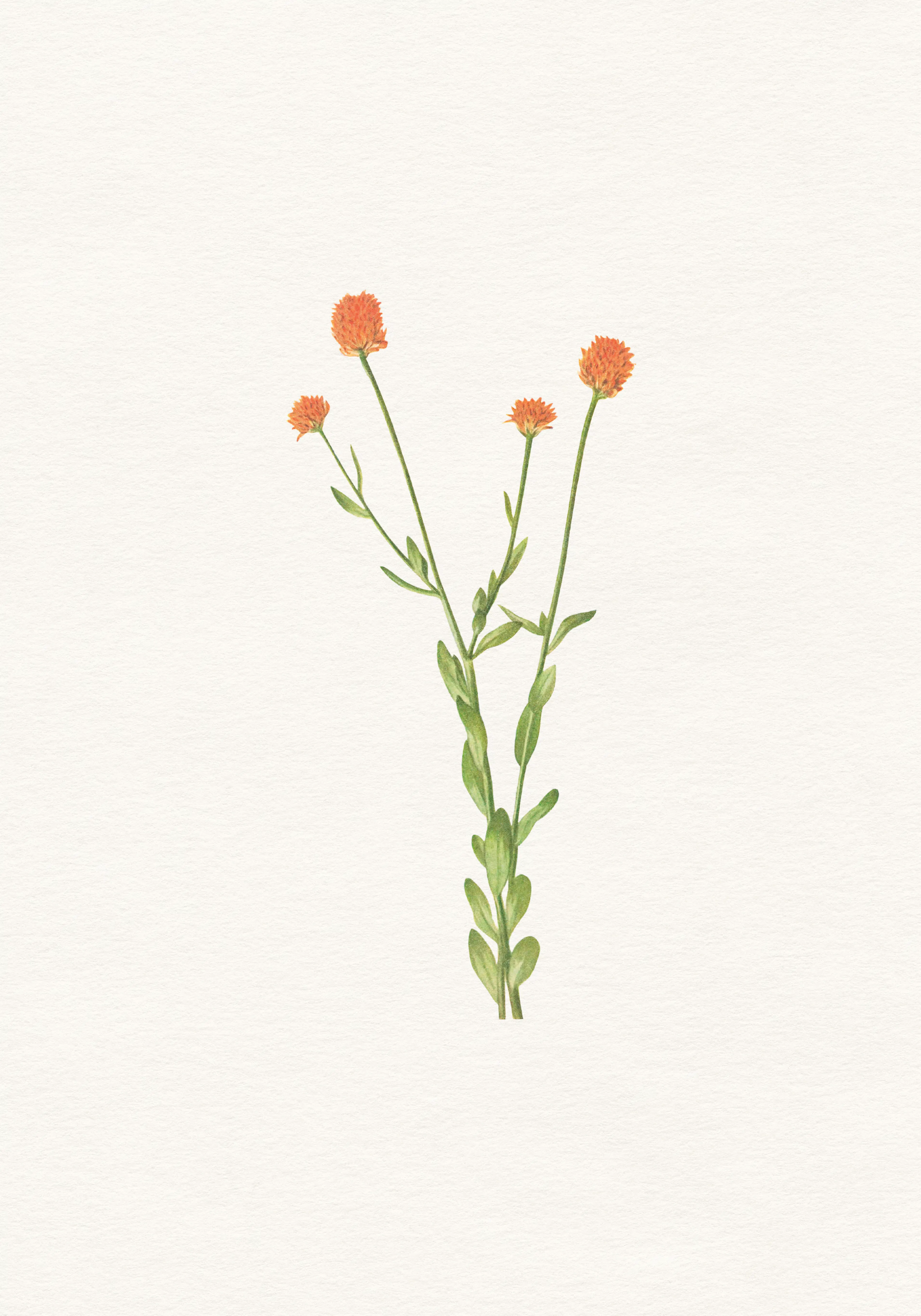 Product image: 1