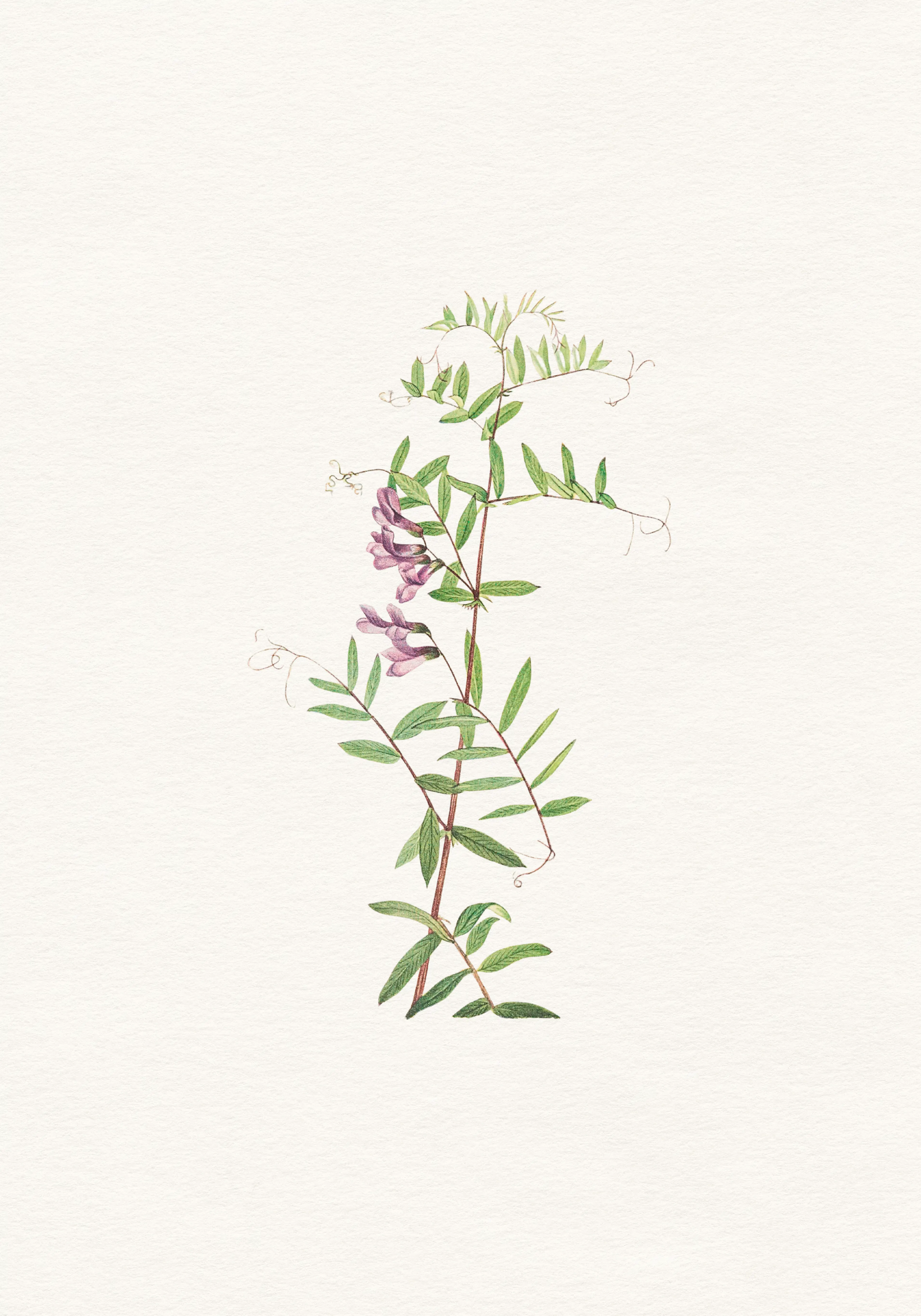 Product image: 1