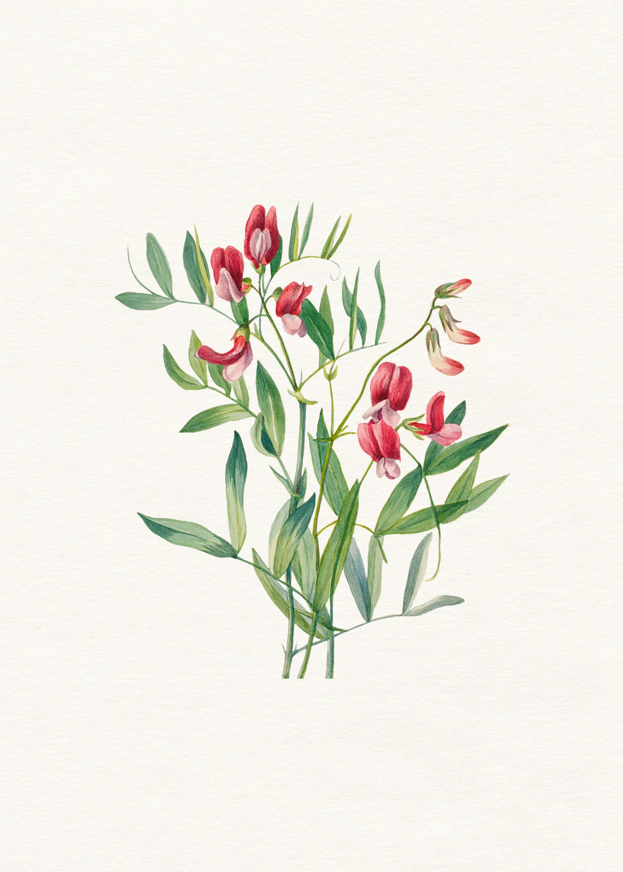Smaragd Lente Bloesems Poster 0