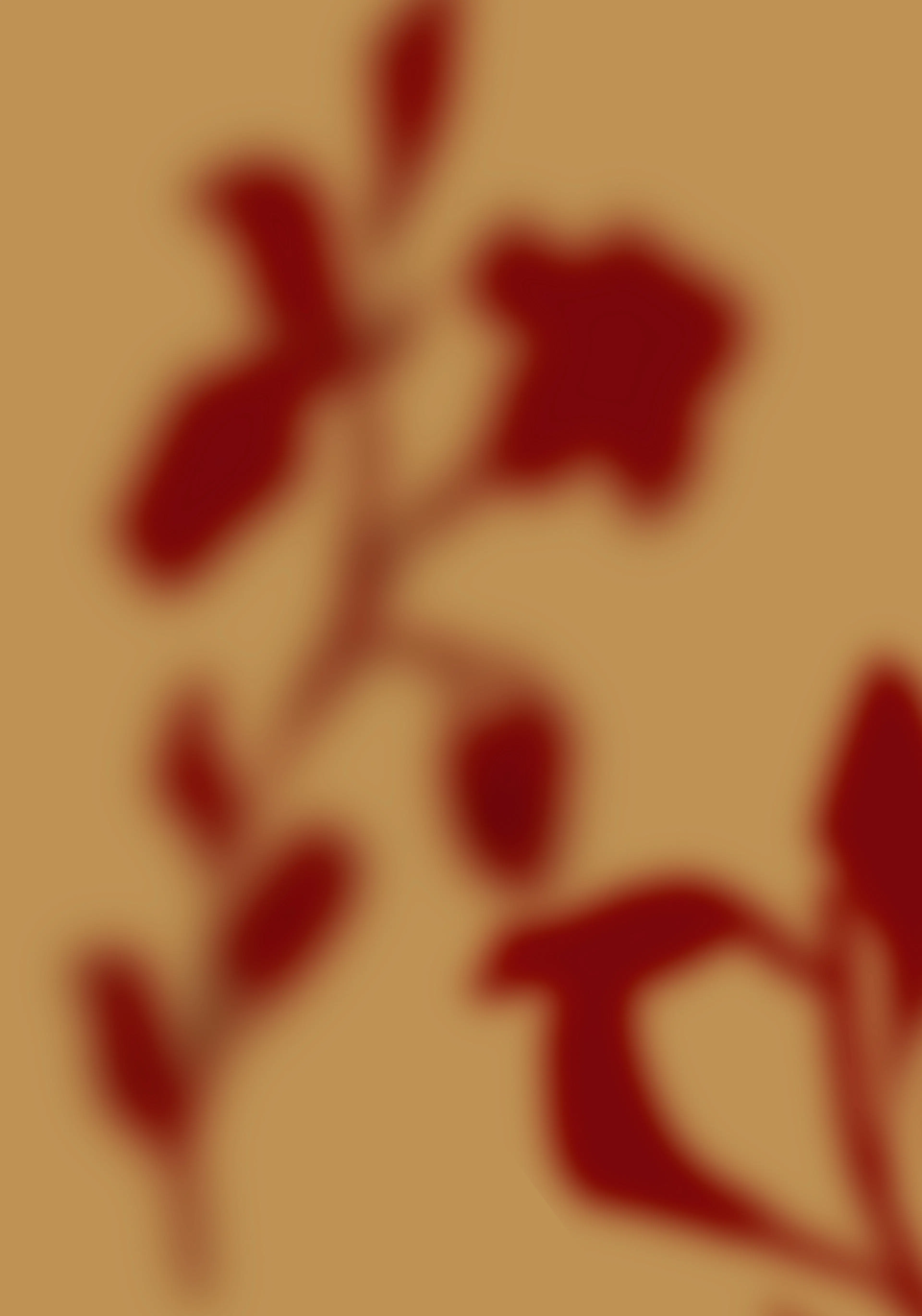 Product image: 1