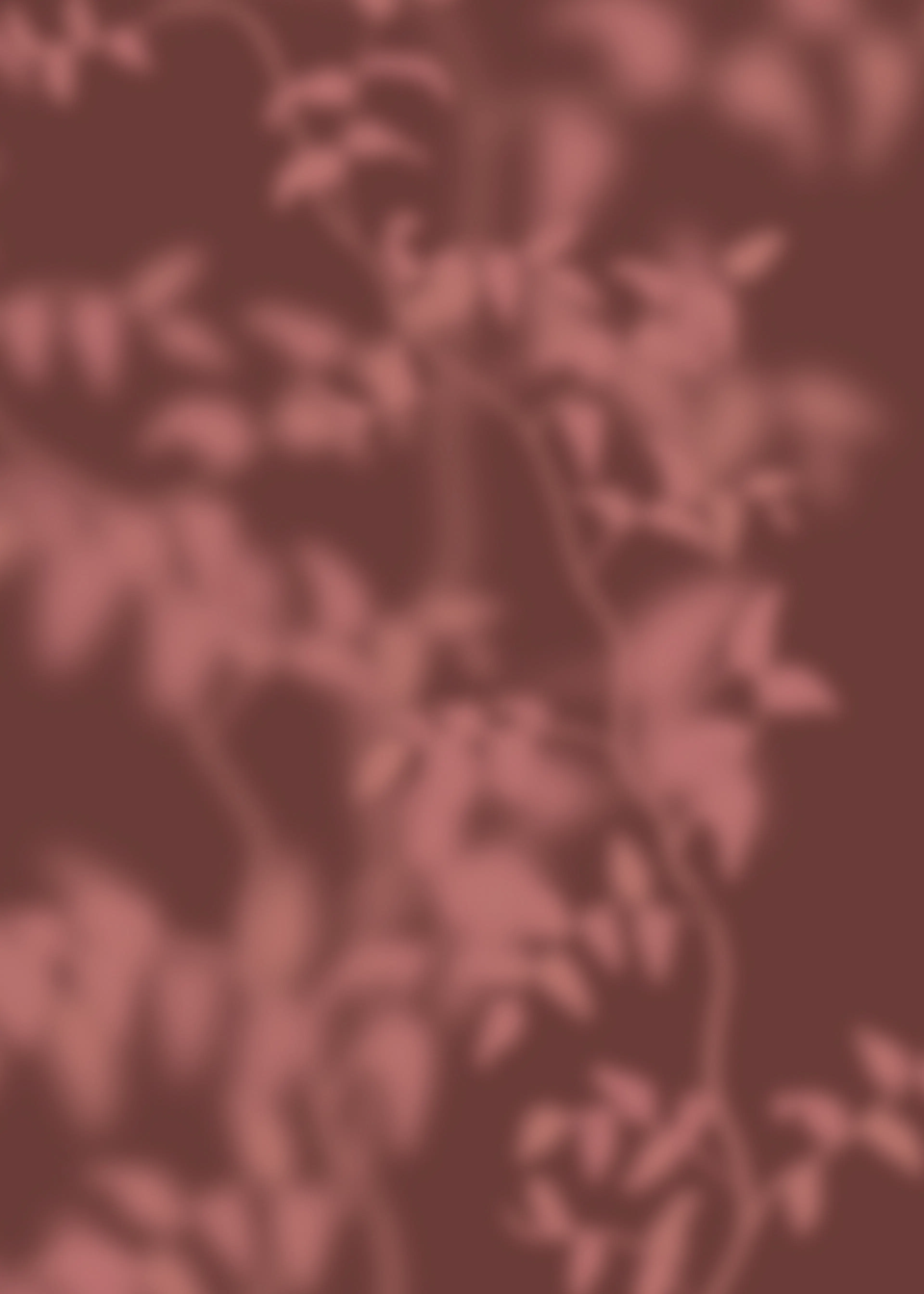 Shadow Garden Poster 0