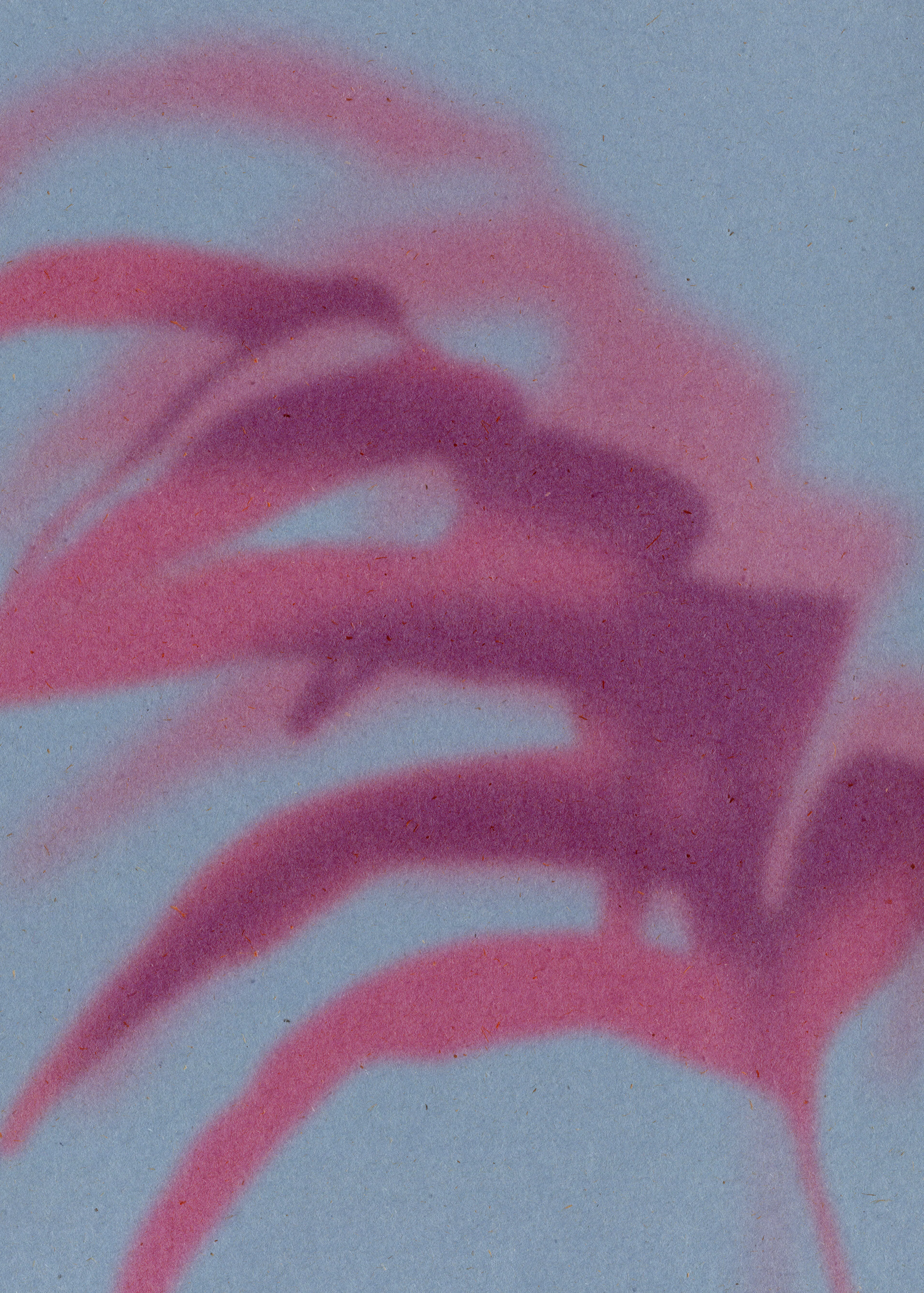 Blue Pink Palm Poster 0